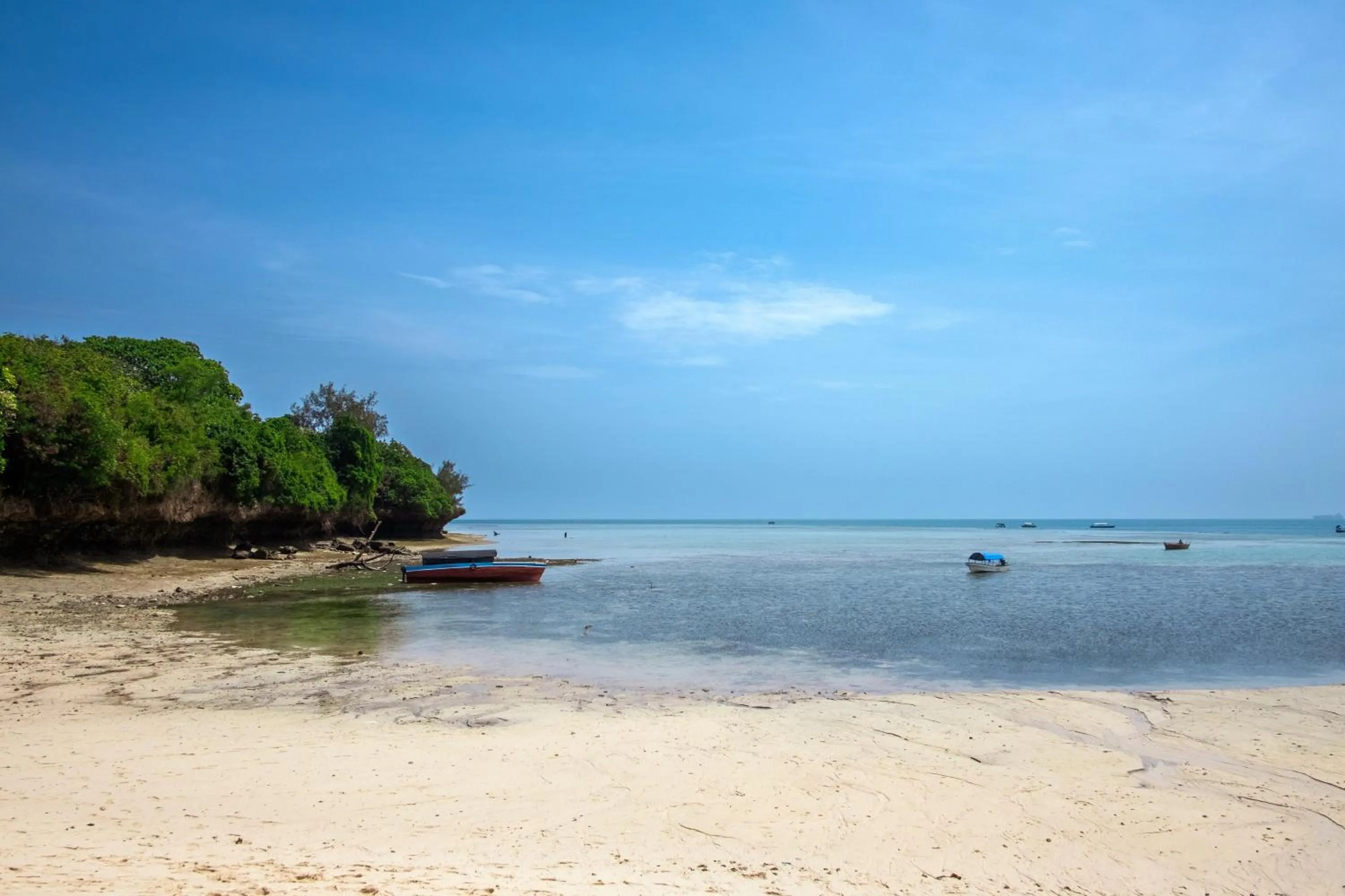 Snorkeling in Eden Paradise