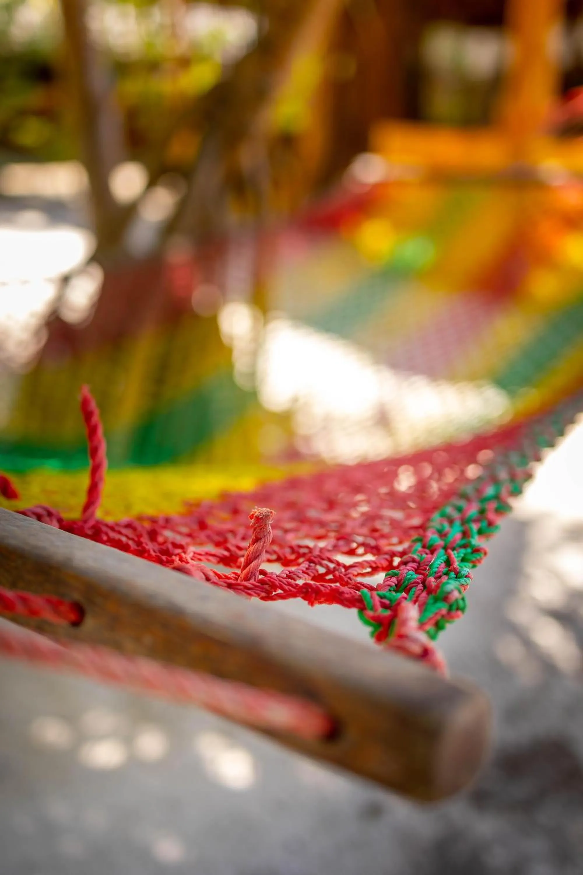 Garden in Eden Paradise