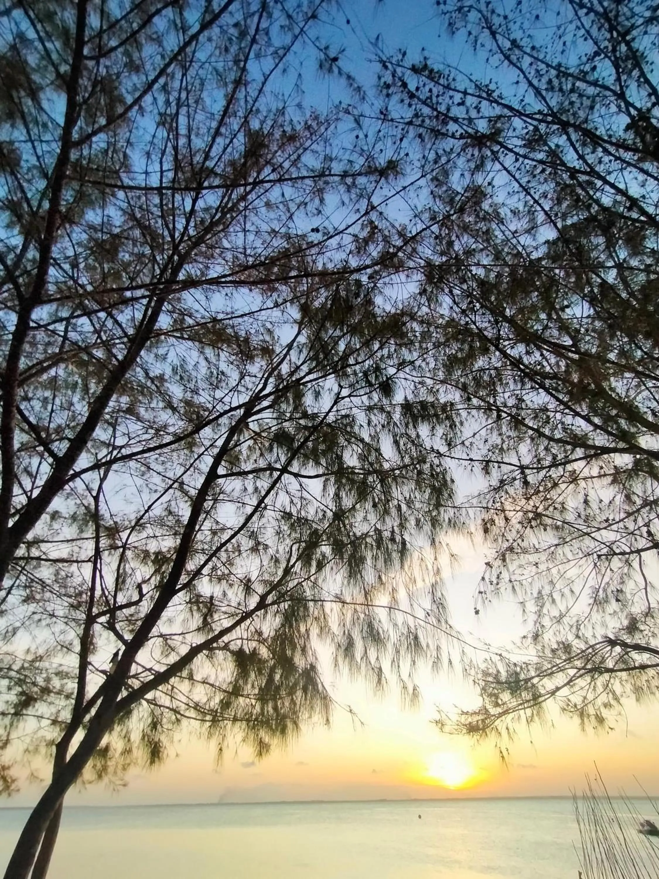 Natural landscape in Eden Paradise