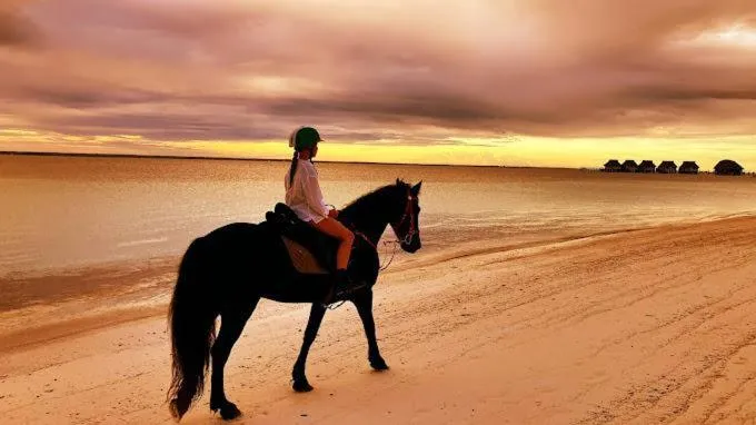 Beach in Eden Paradise