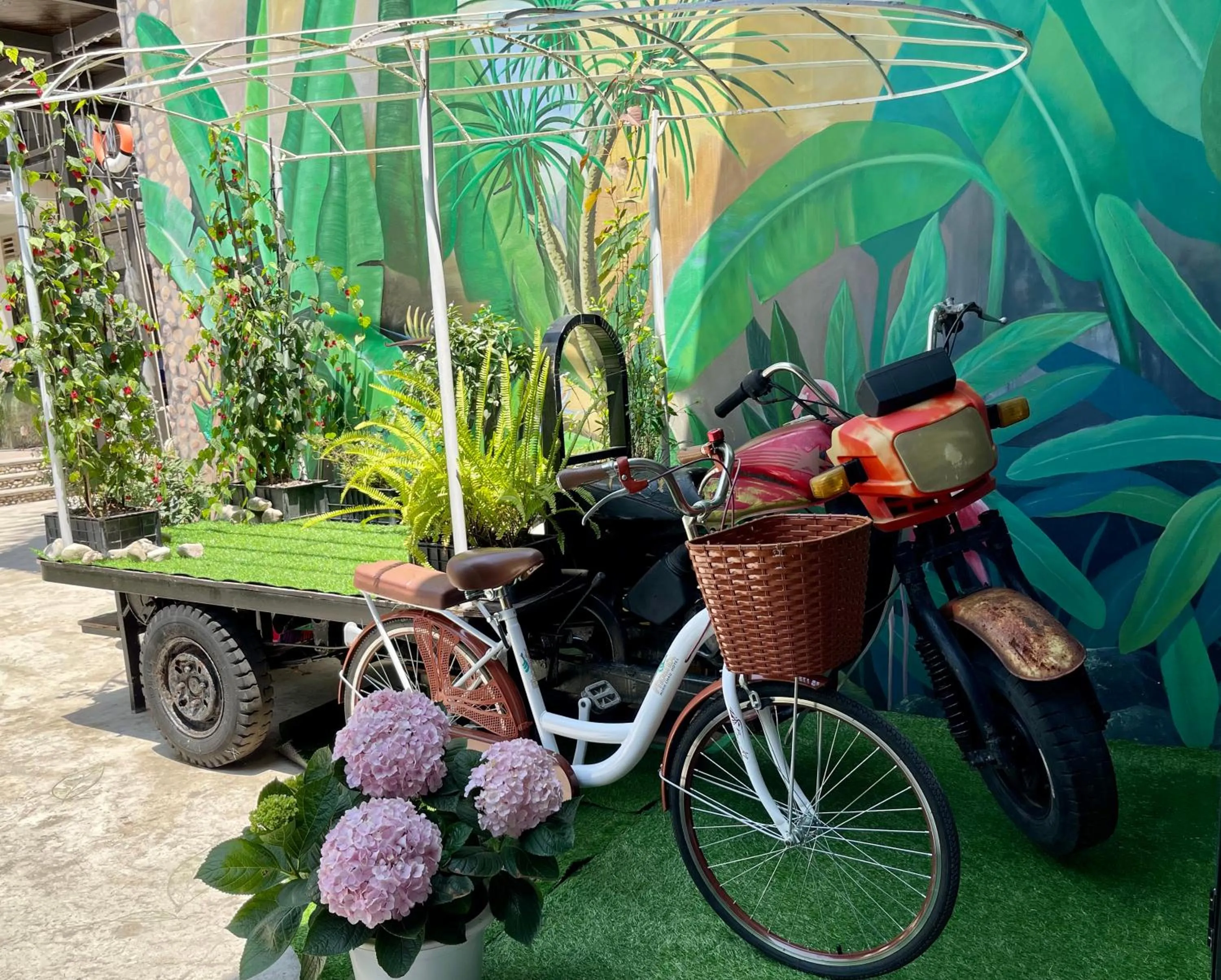 Garden in PHOENIX MINH CHÂU HOTEL