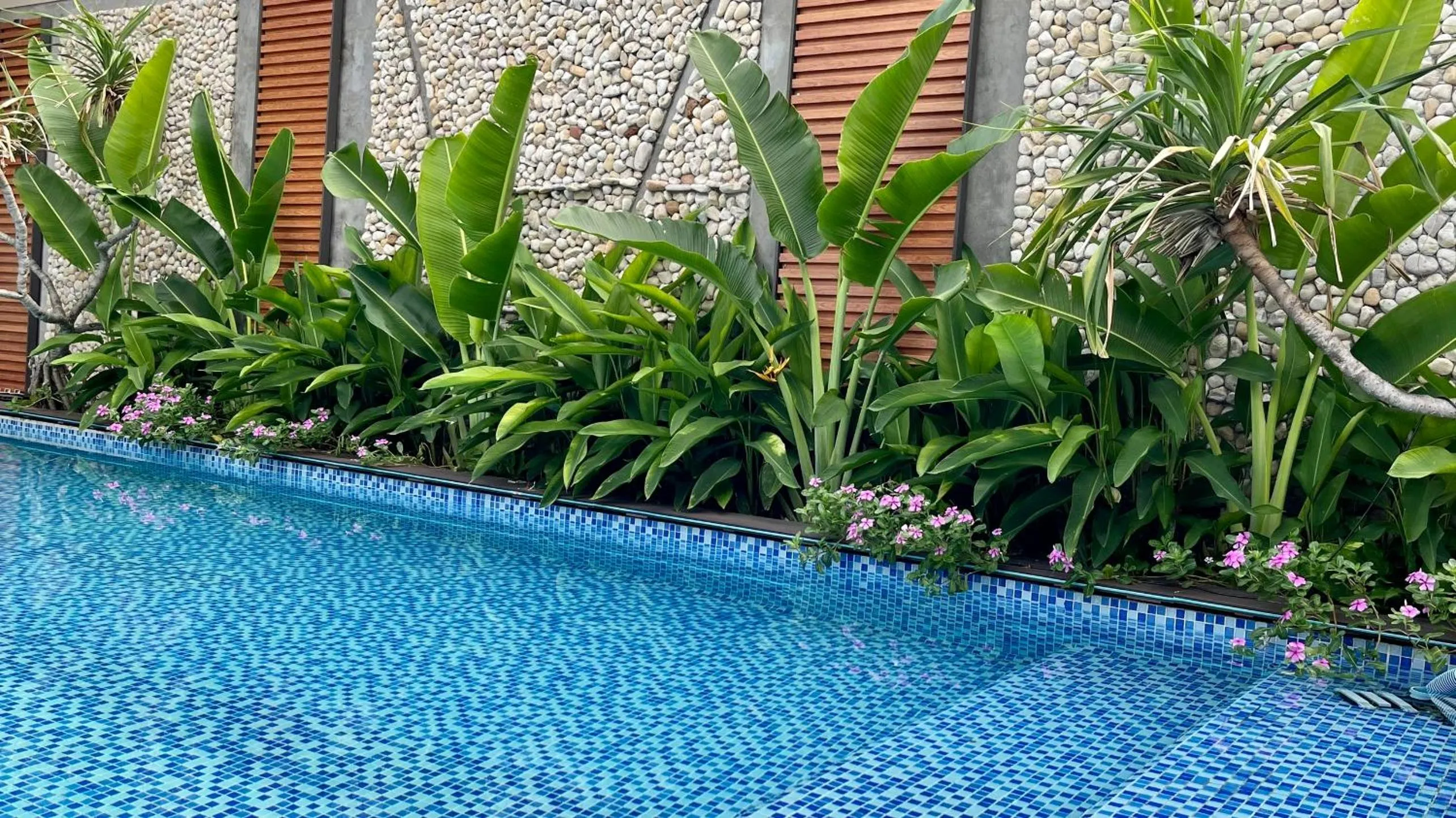 Pool view in PHOENIX MINH CHÂU HOTEL