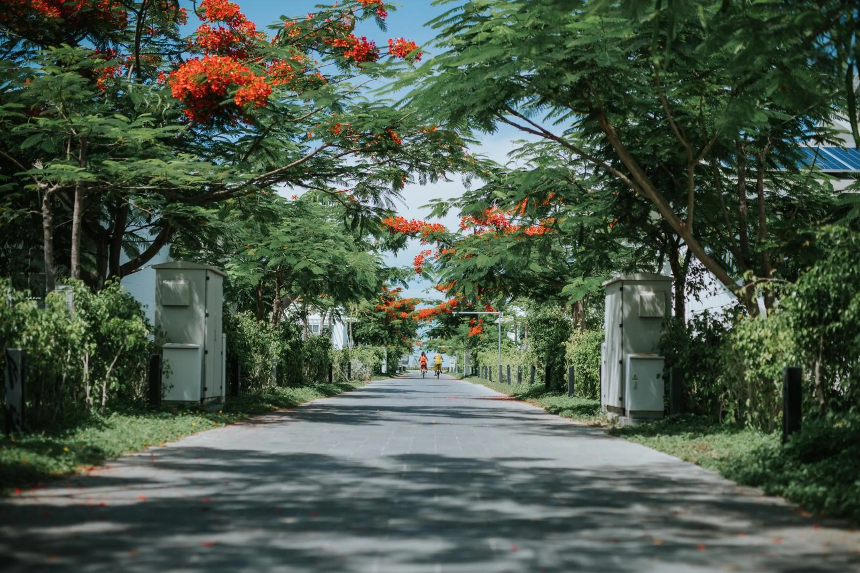 Natural landscape in Perolas Villas Resort - Ke Ga Bay