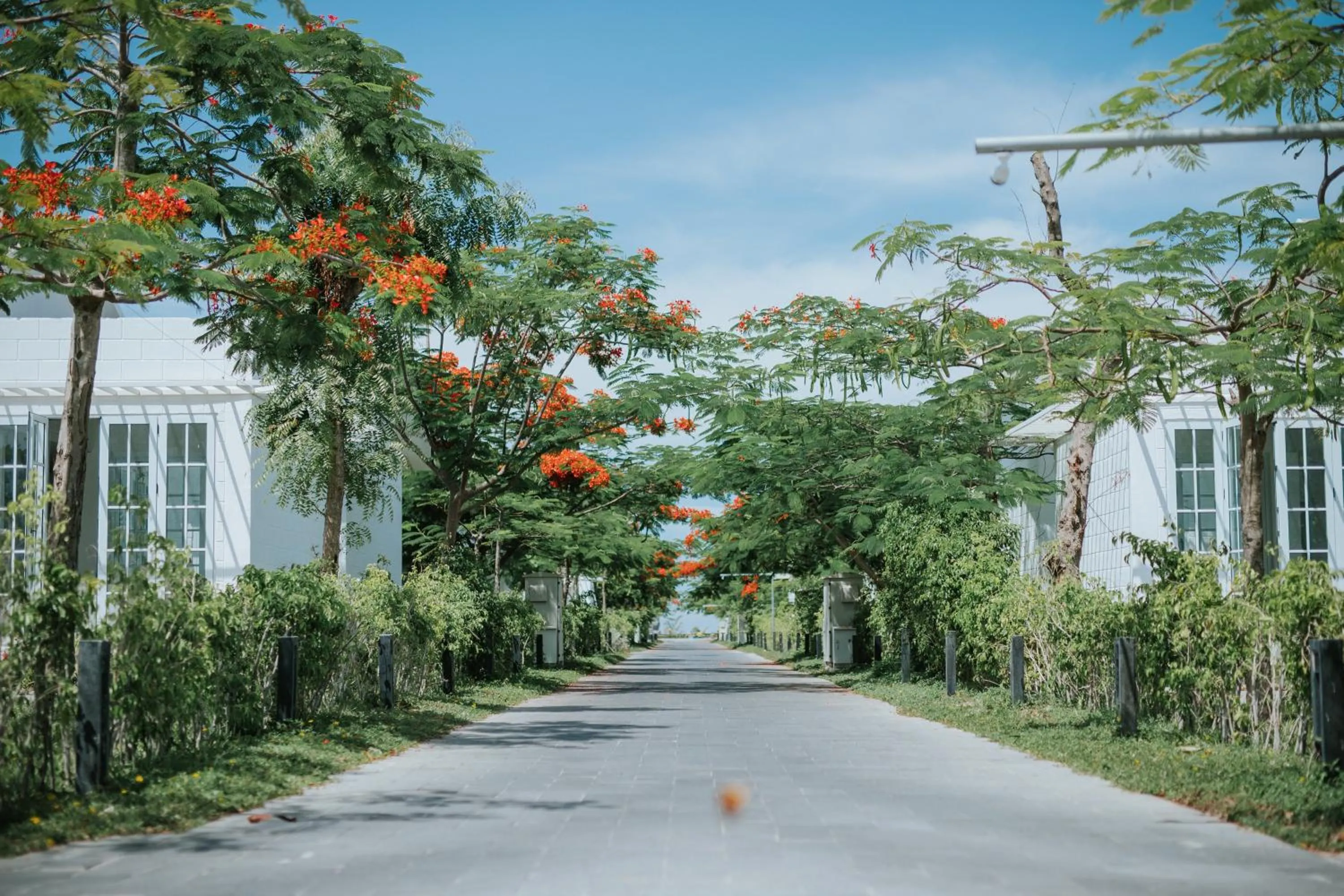 Natural landscape in Perolas Villas Resort - Ke Ga Bay