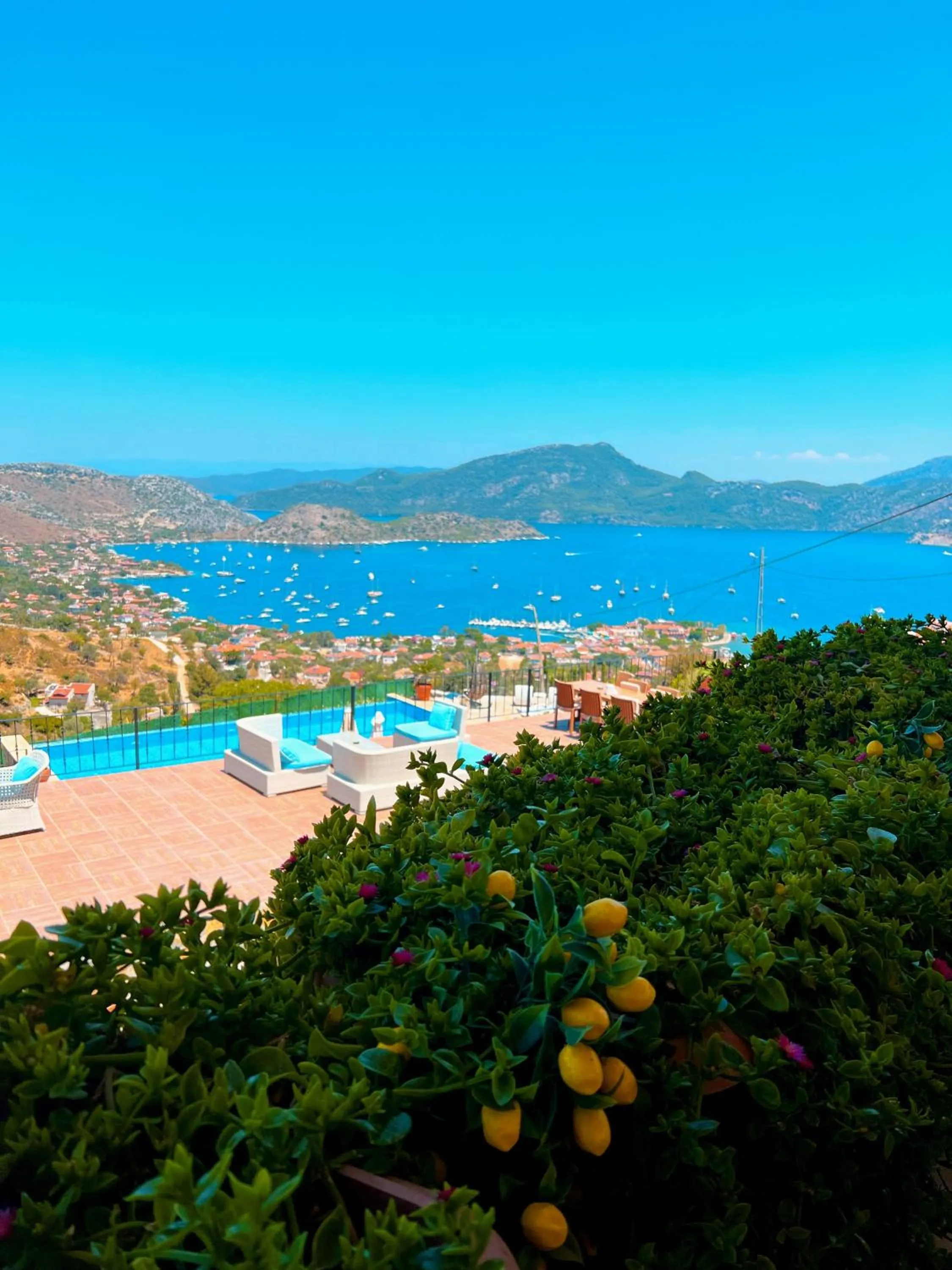 Selimiye Lime Garden