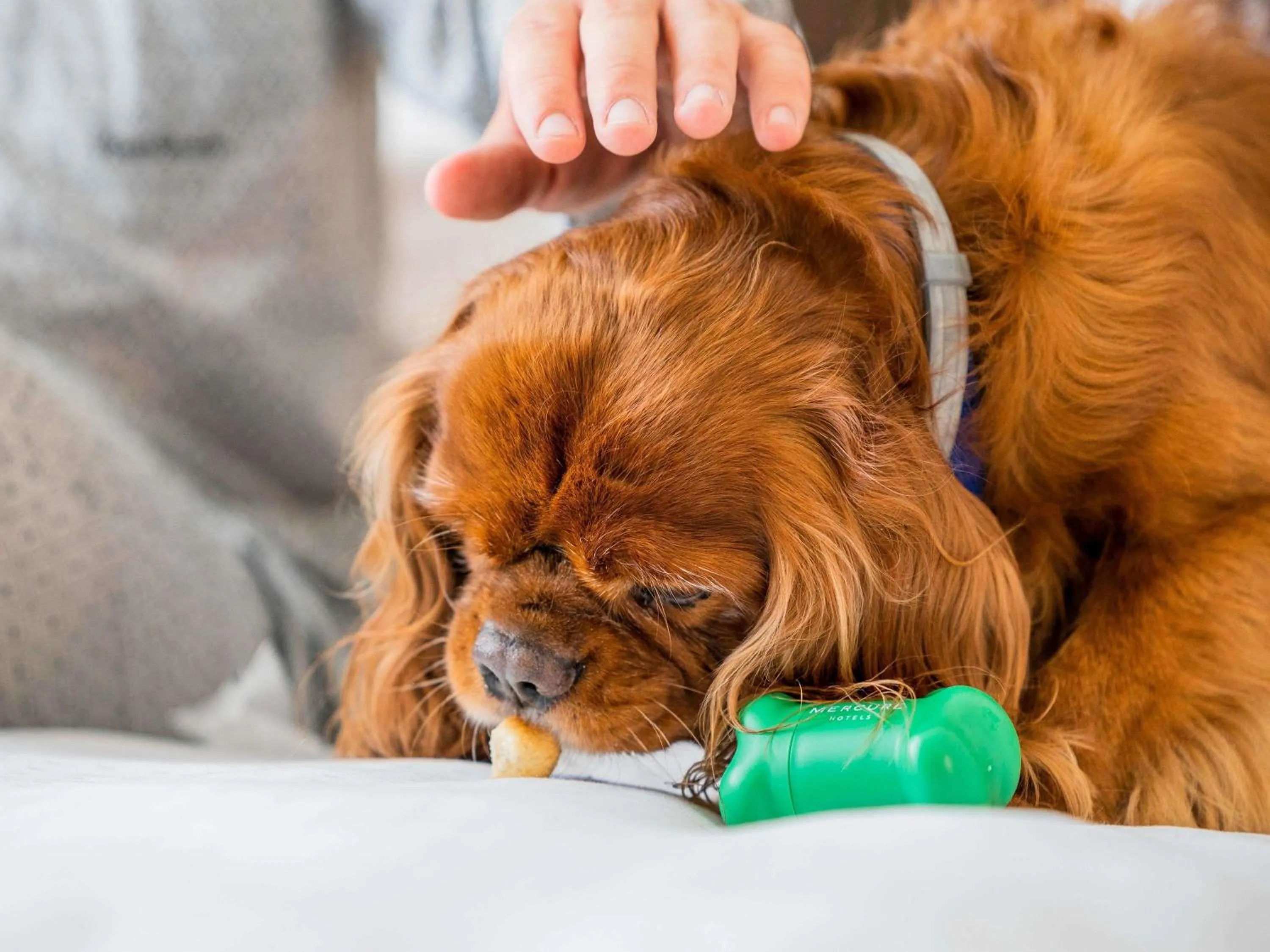 Bedroom in Mercure Napoli Centro Angioino
