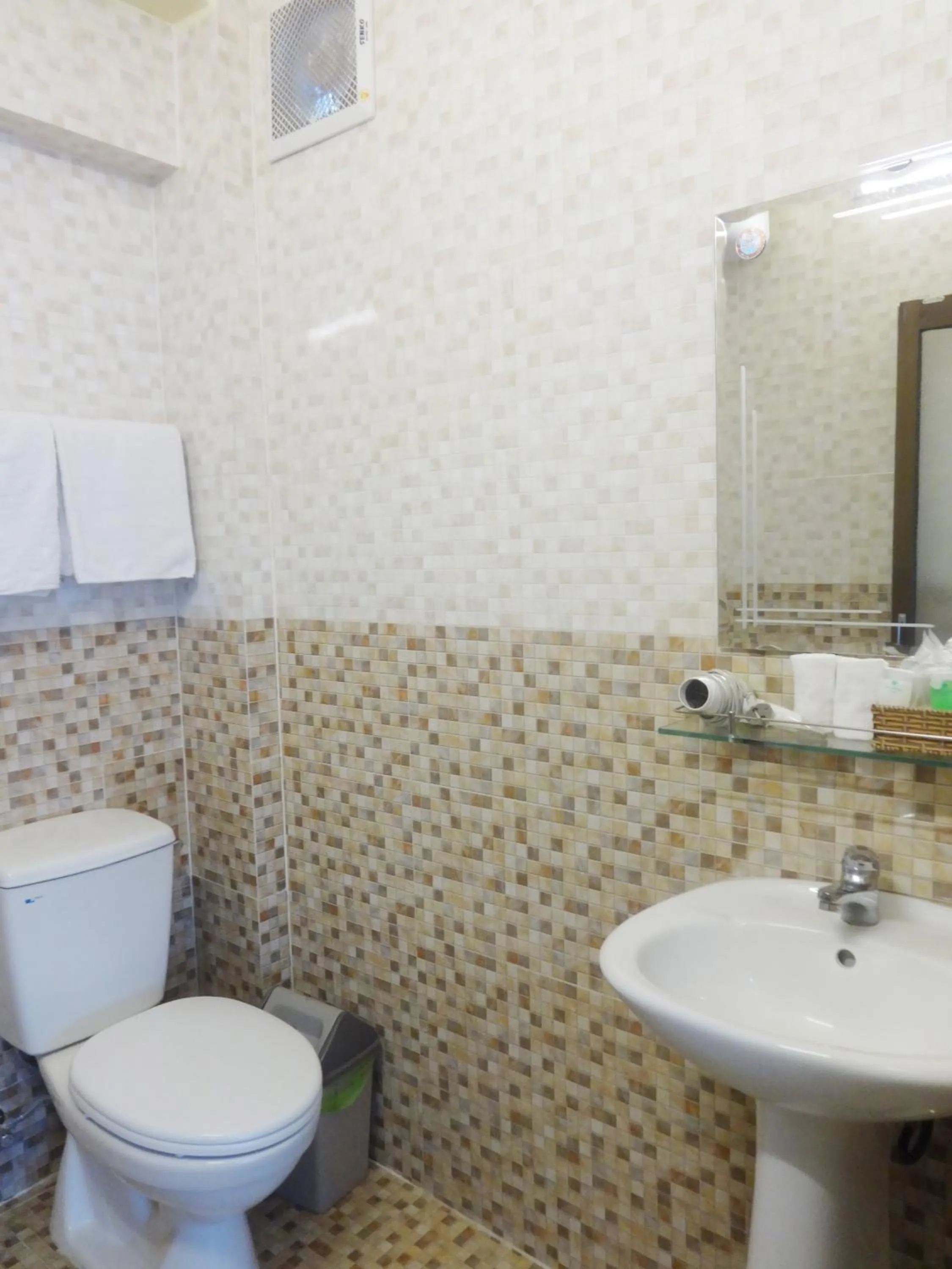 Bathroom in Thanh Thao Dalat Hotel