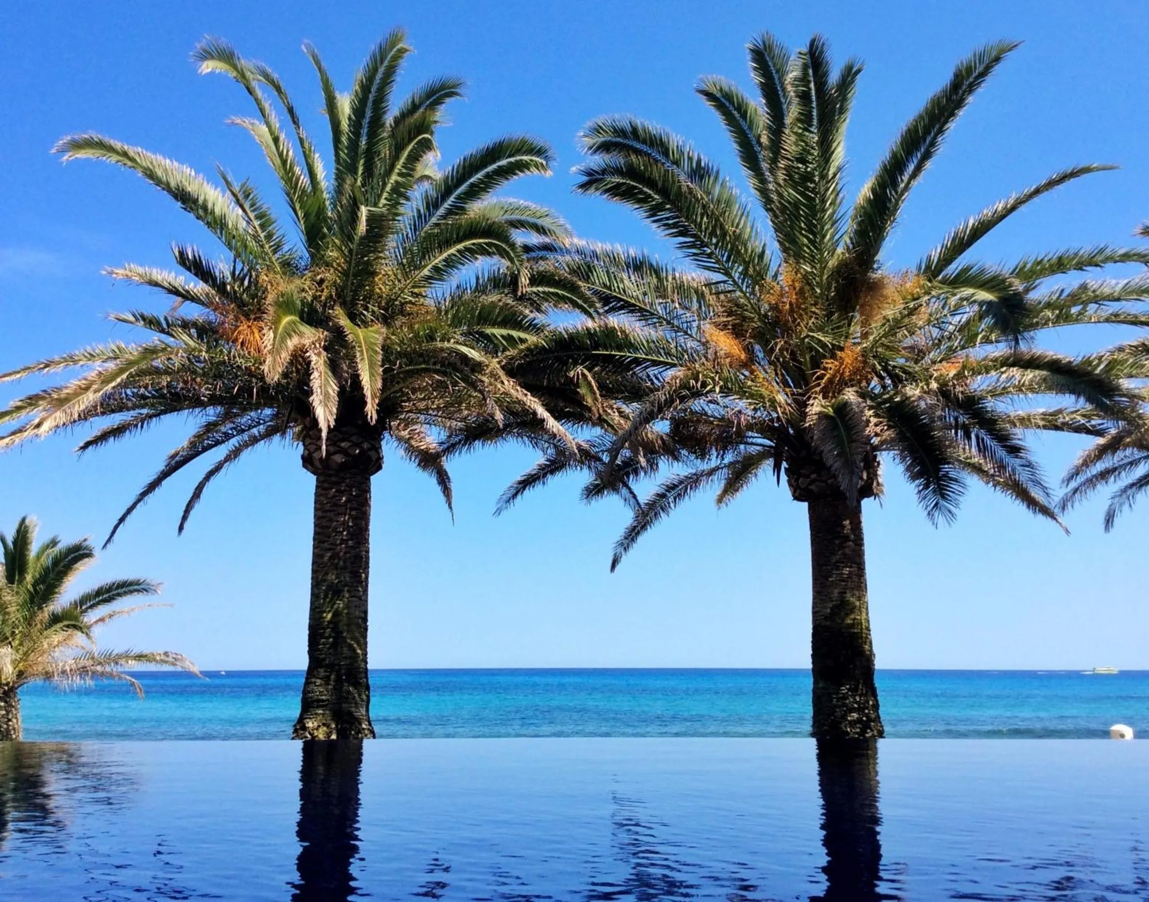 Swimming pool in Melbeach Hotel & Spa - Adults Only