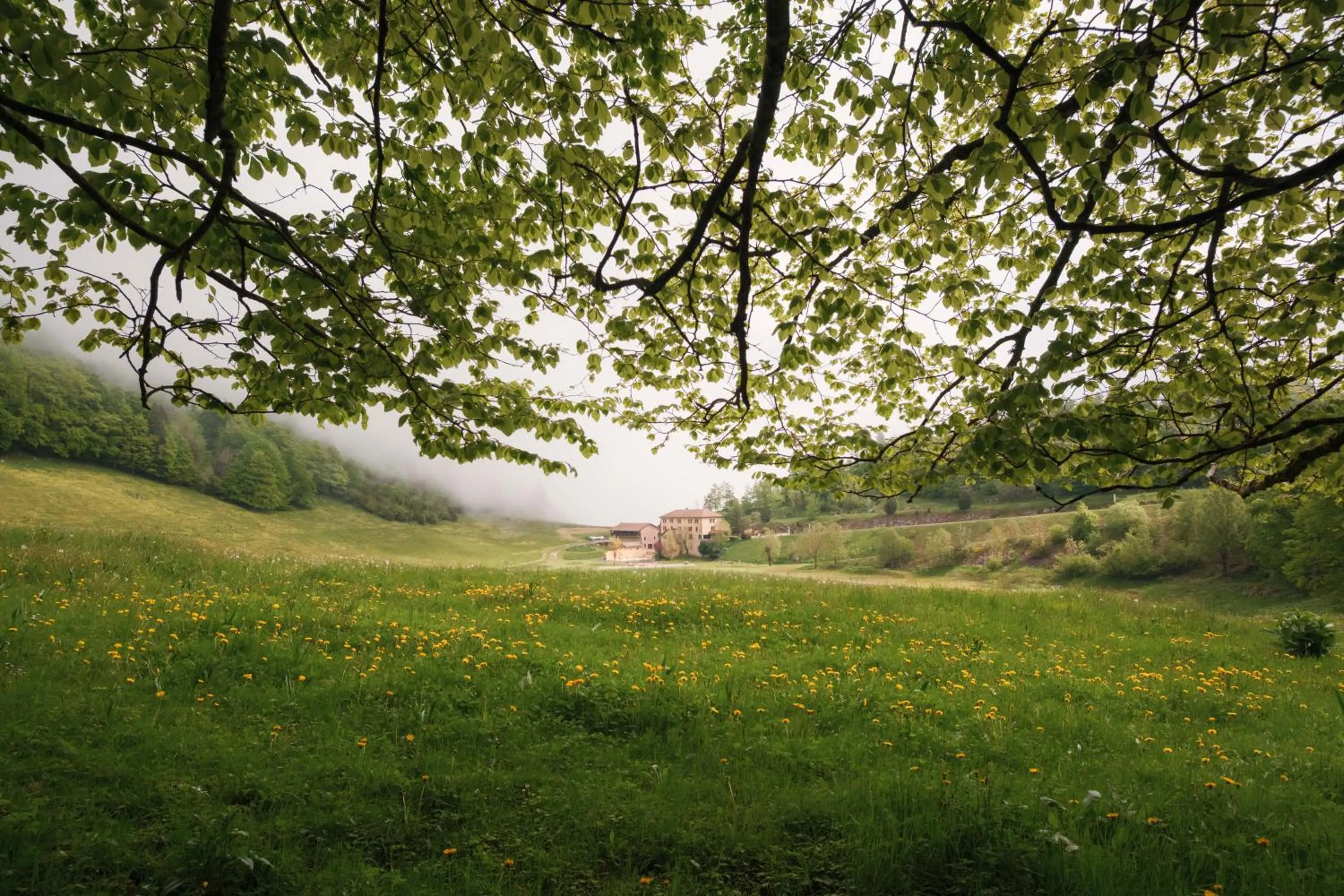 Hostel Quartier Libre