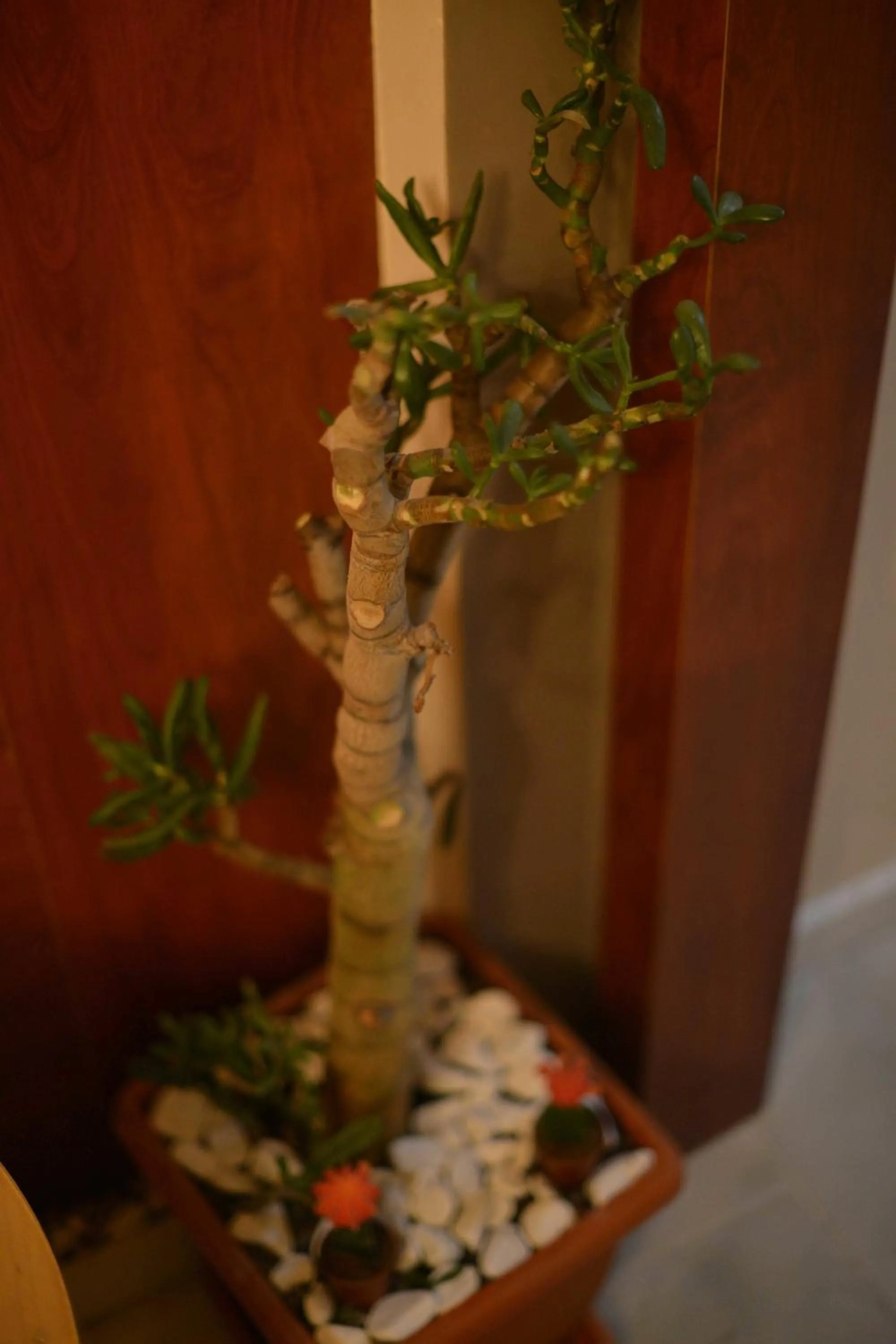 Other in Letter Hotel