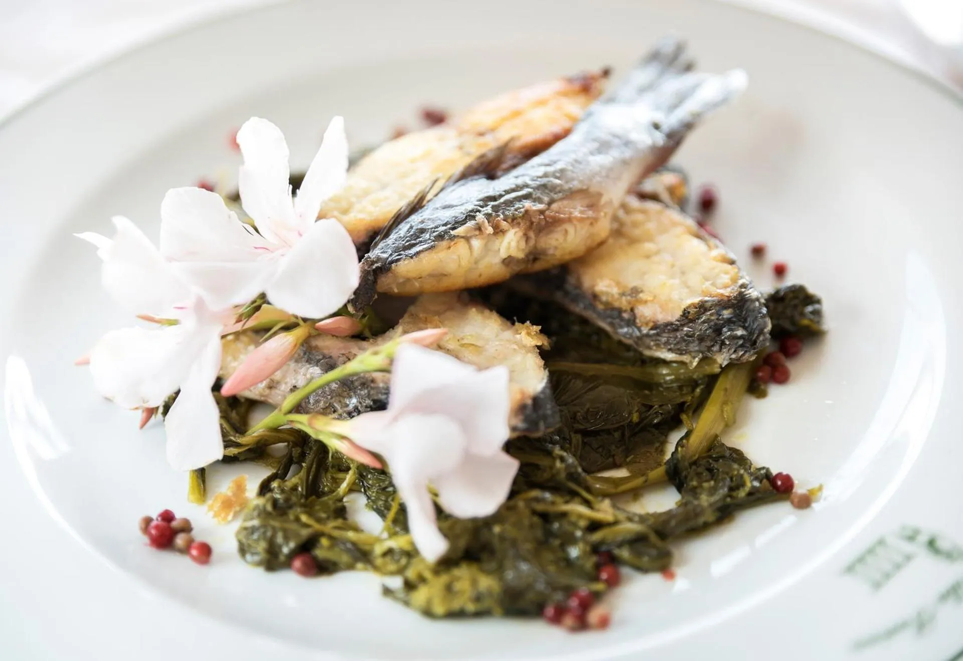 Food close-up in Villa Sarina