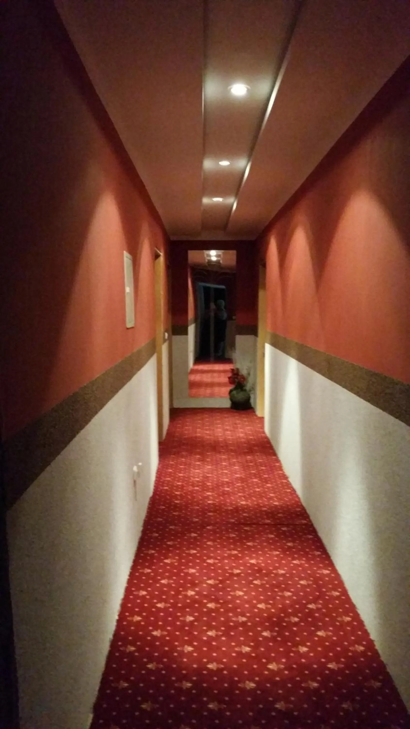 Decorative detail in Waldhotel Lemberg