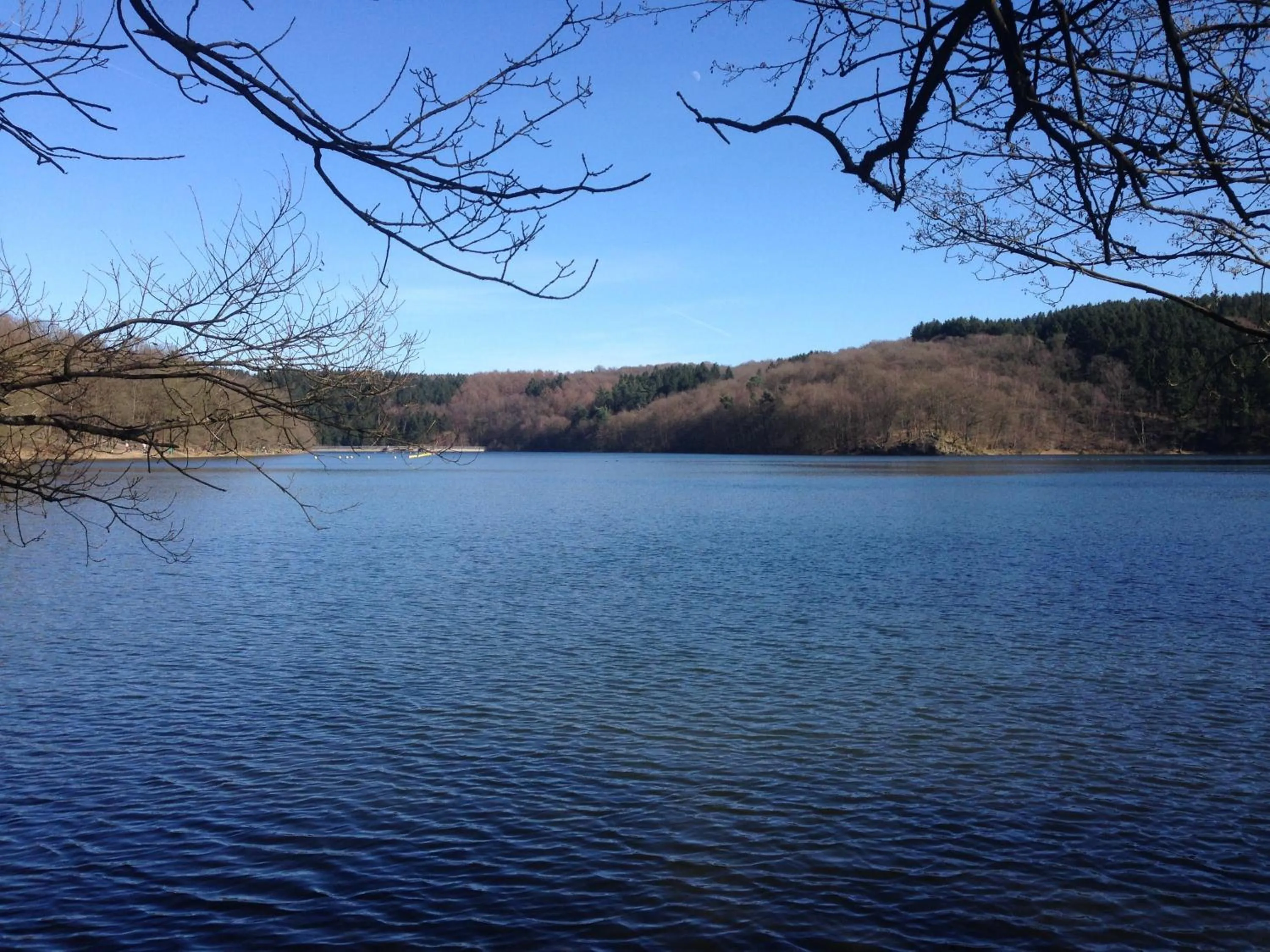 Landmark view in Waldhotel Lemberg