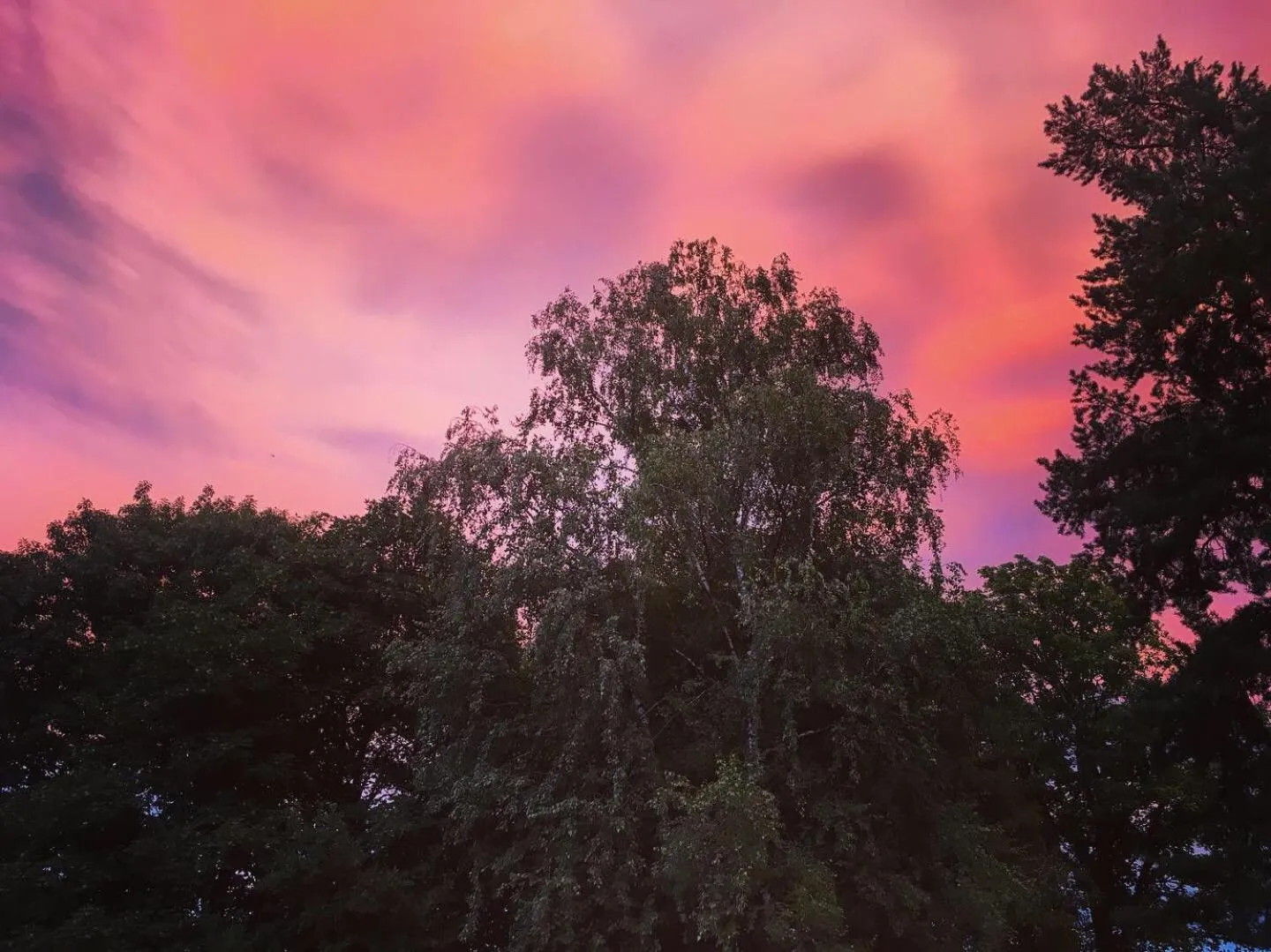 Albergo Ristorante Madonnina