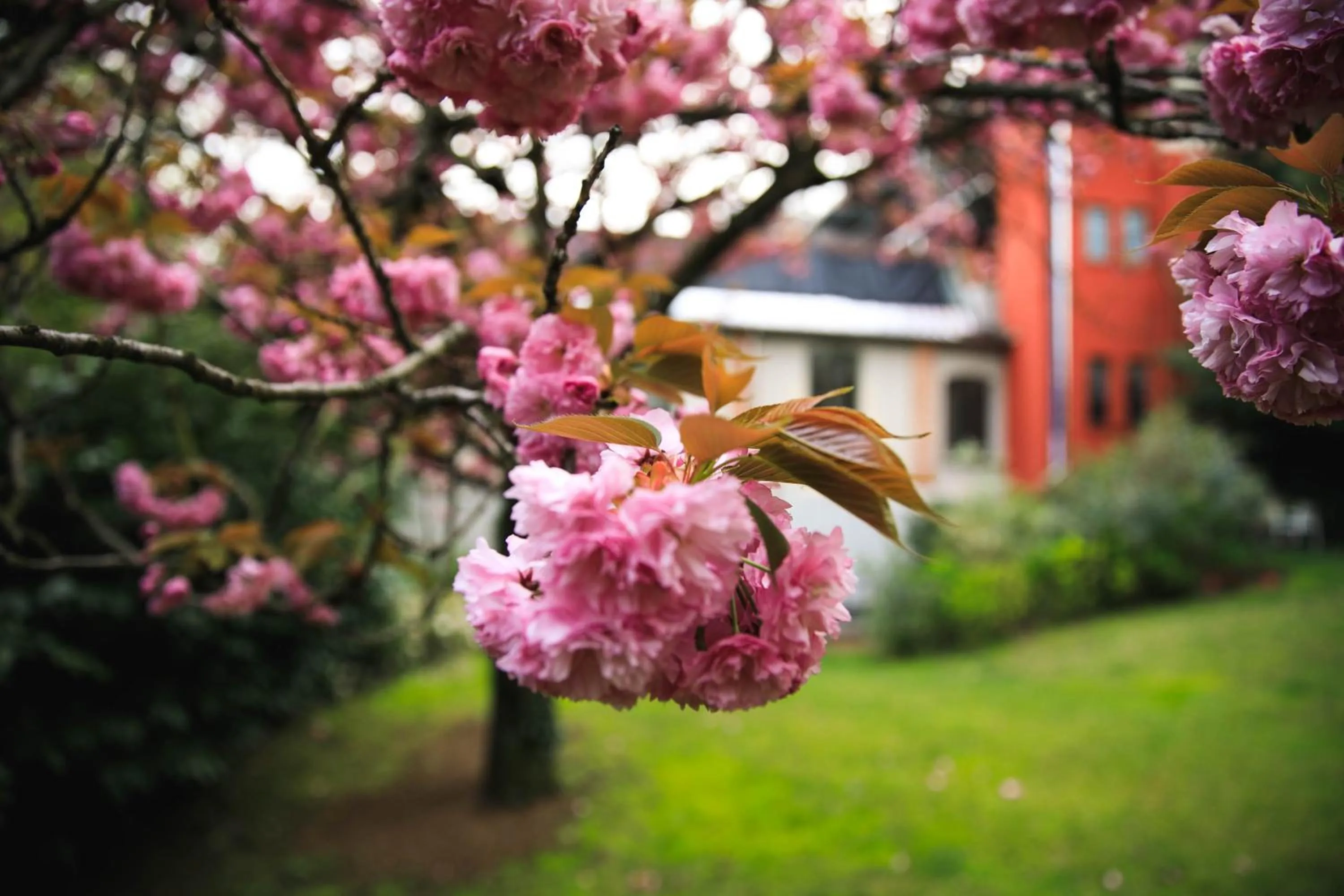 Albergo Ristorante Madonnina