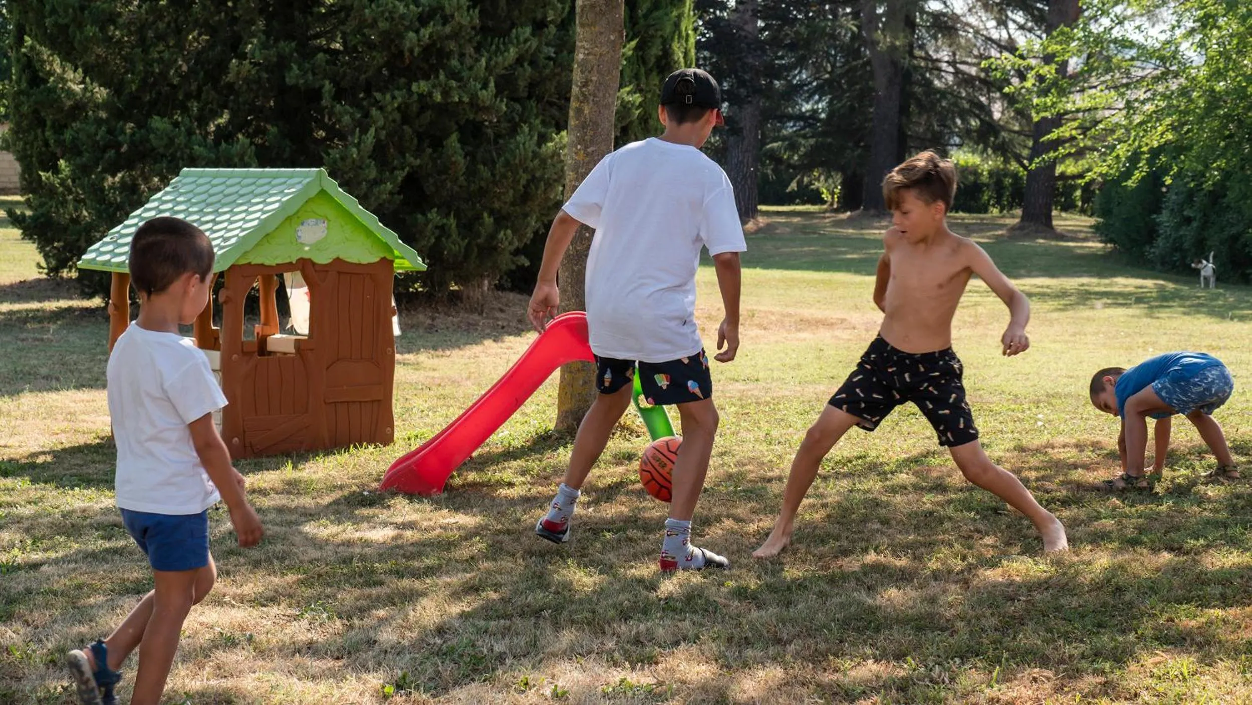 Garden in Hotel Vega Perugia