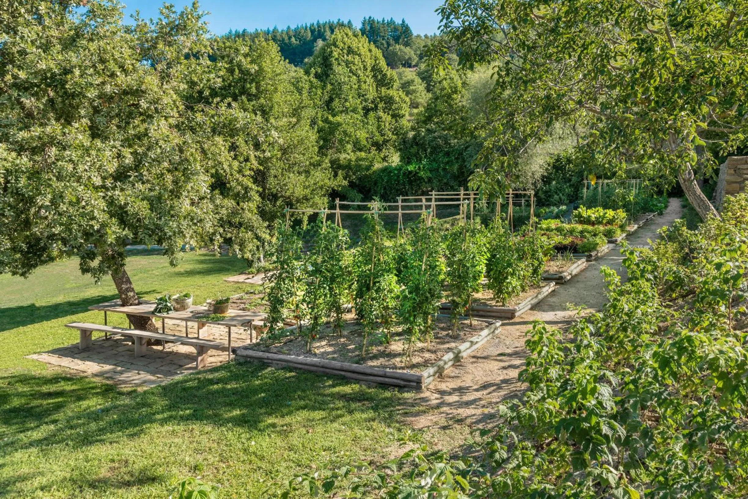 Garden in Badia di Pomaio
