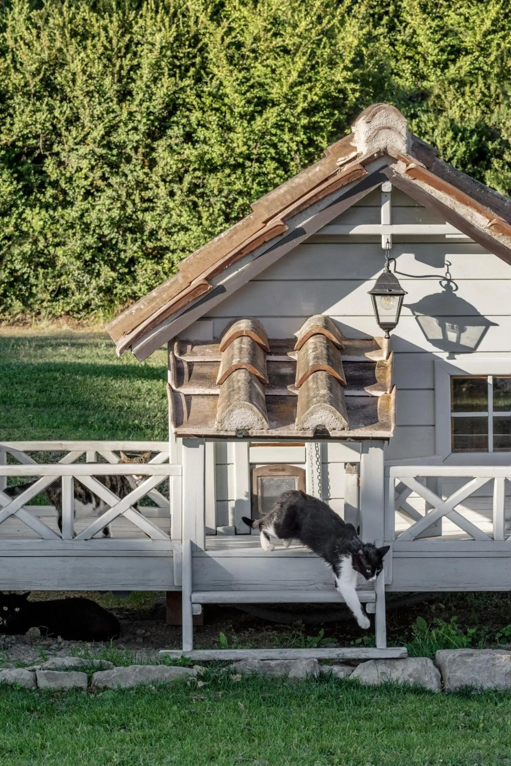 Garden in Badia di Pomaio
