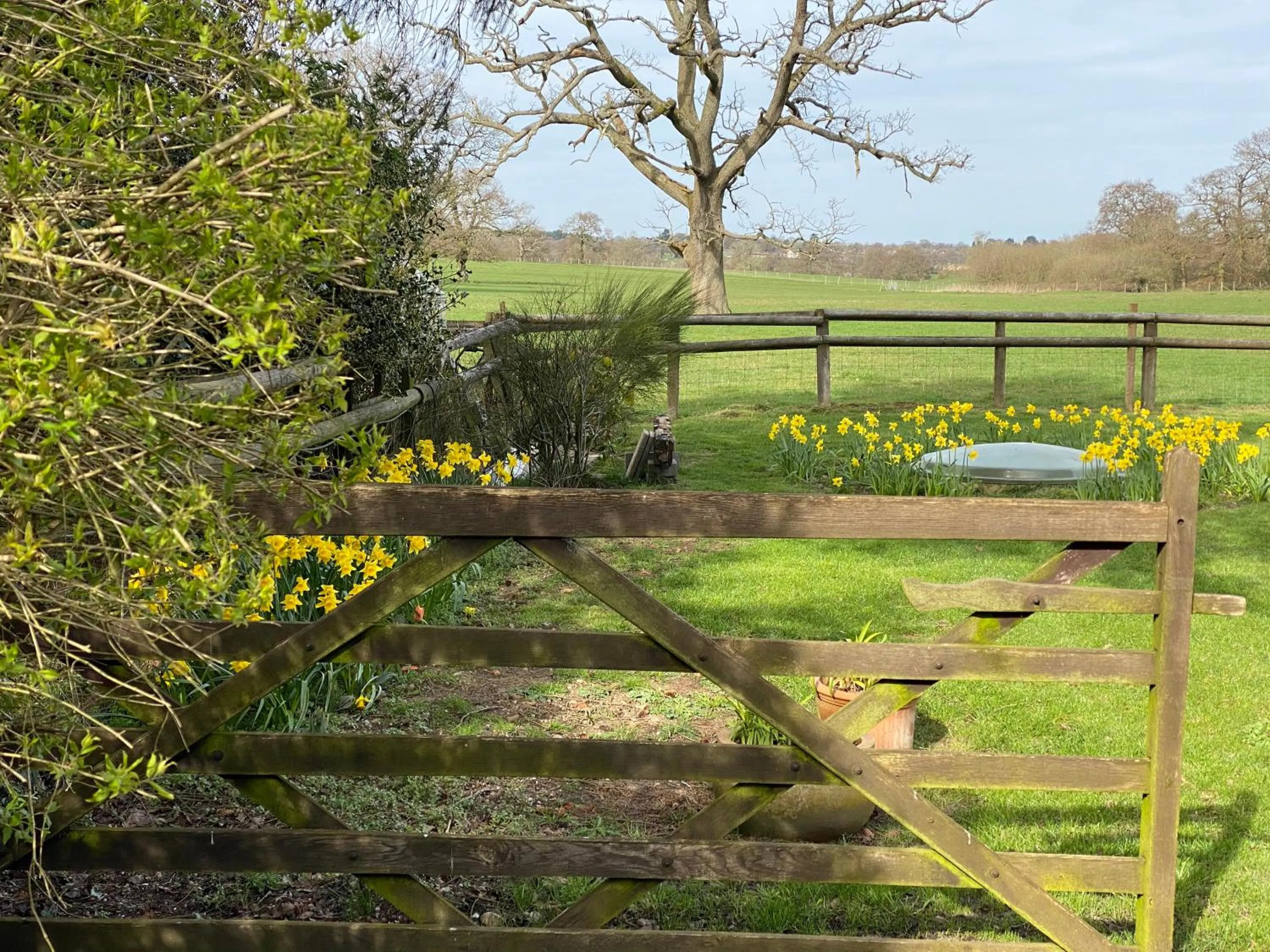 Garden in Private Entry Double bedroom with beautiful views!