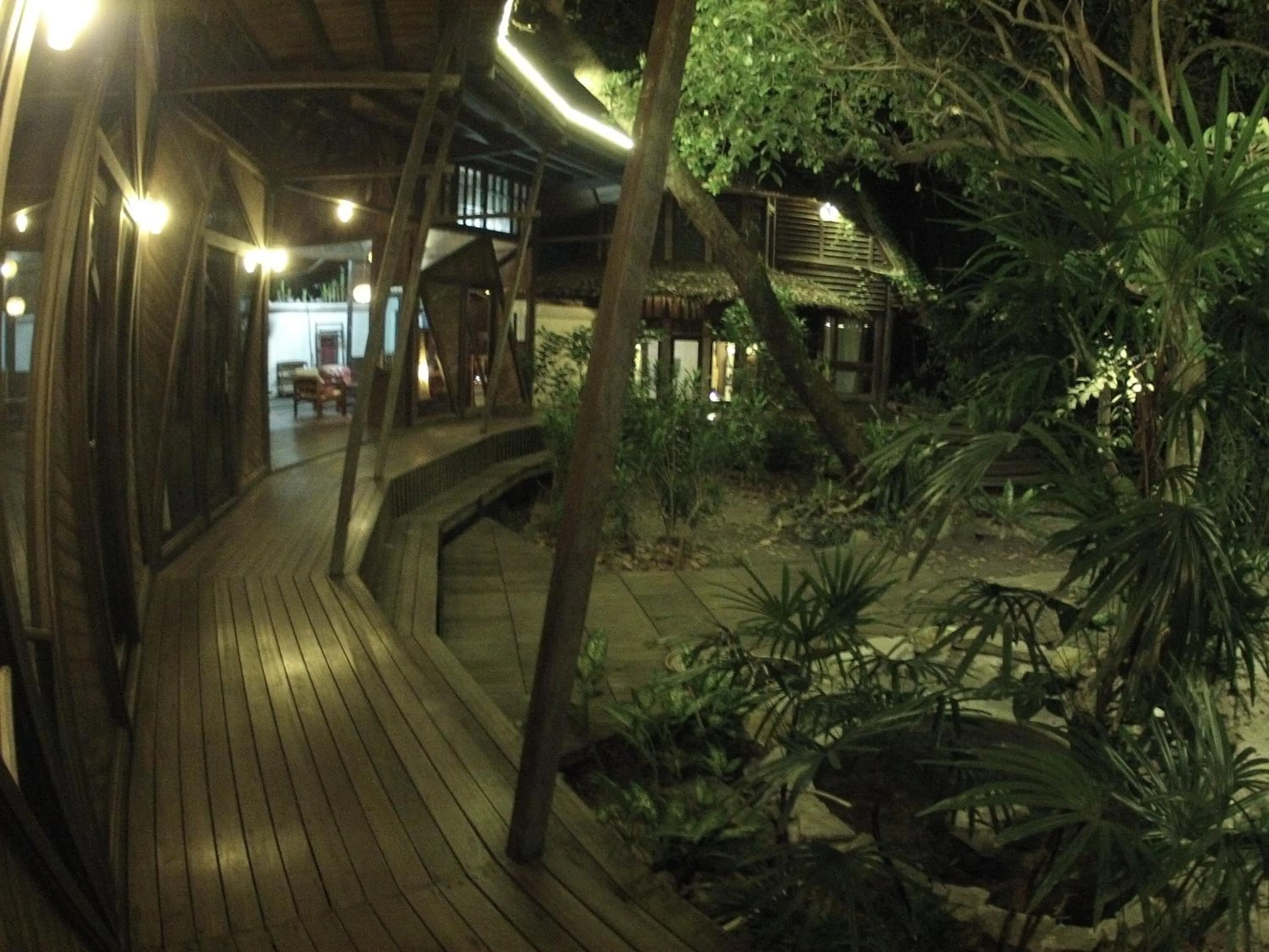 Natural landscape in Bukit Raya Guesthouse