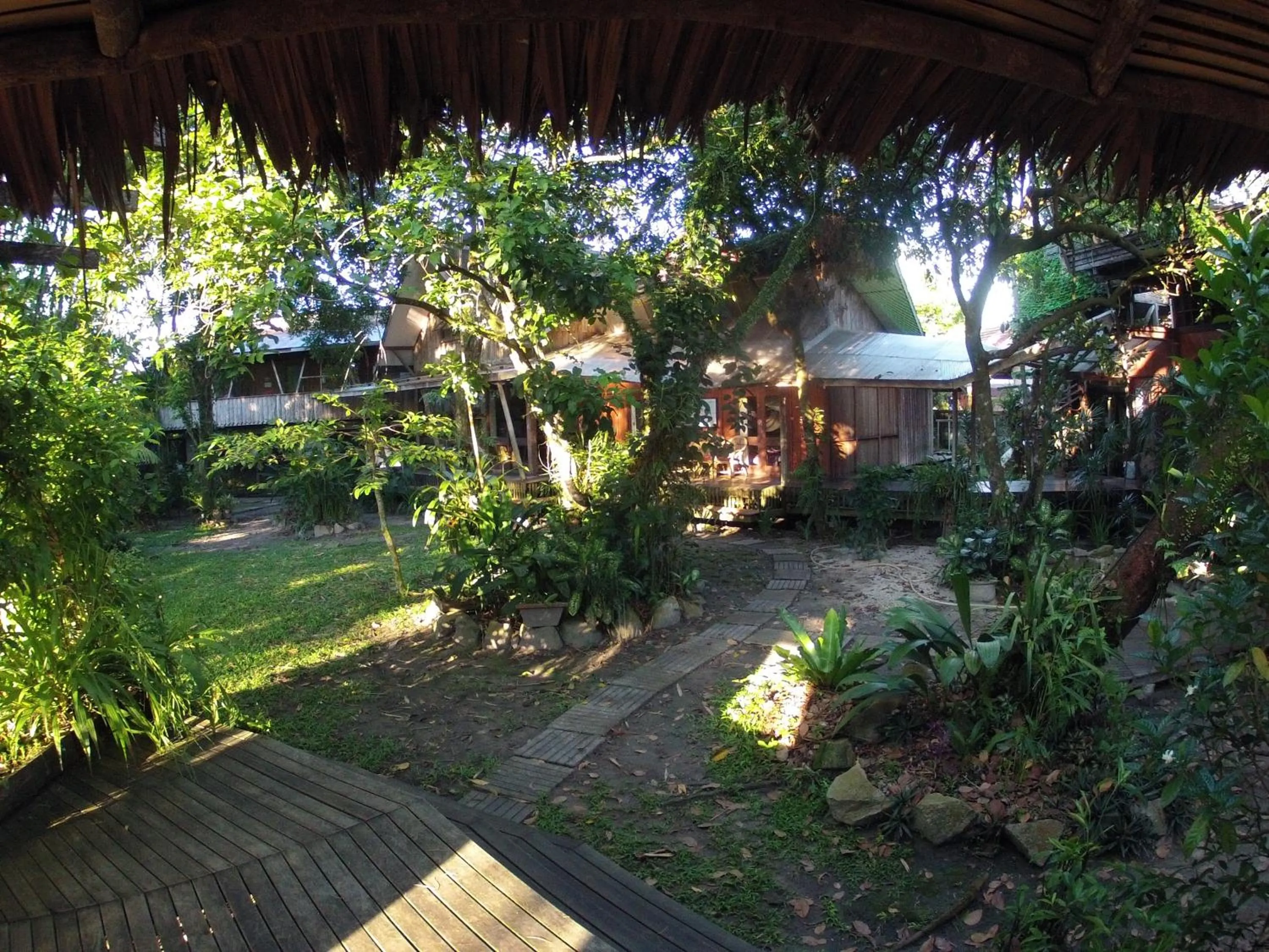 Natural landscape in Bukit Raya Guesthouse