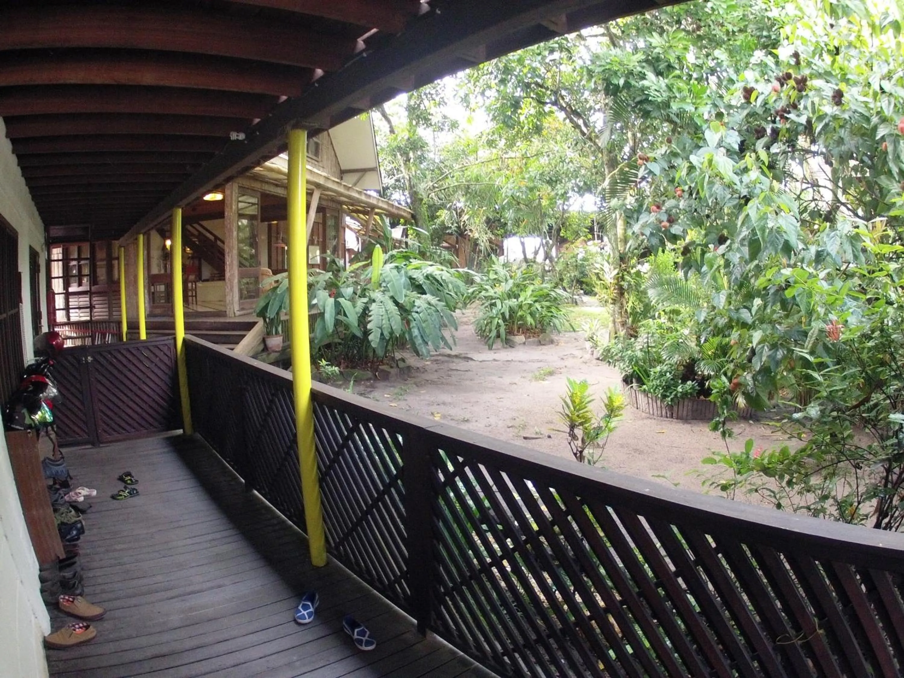 Garden view in Bukit Raya Guesthouse