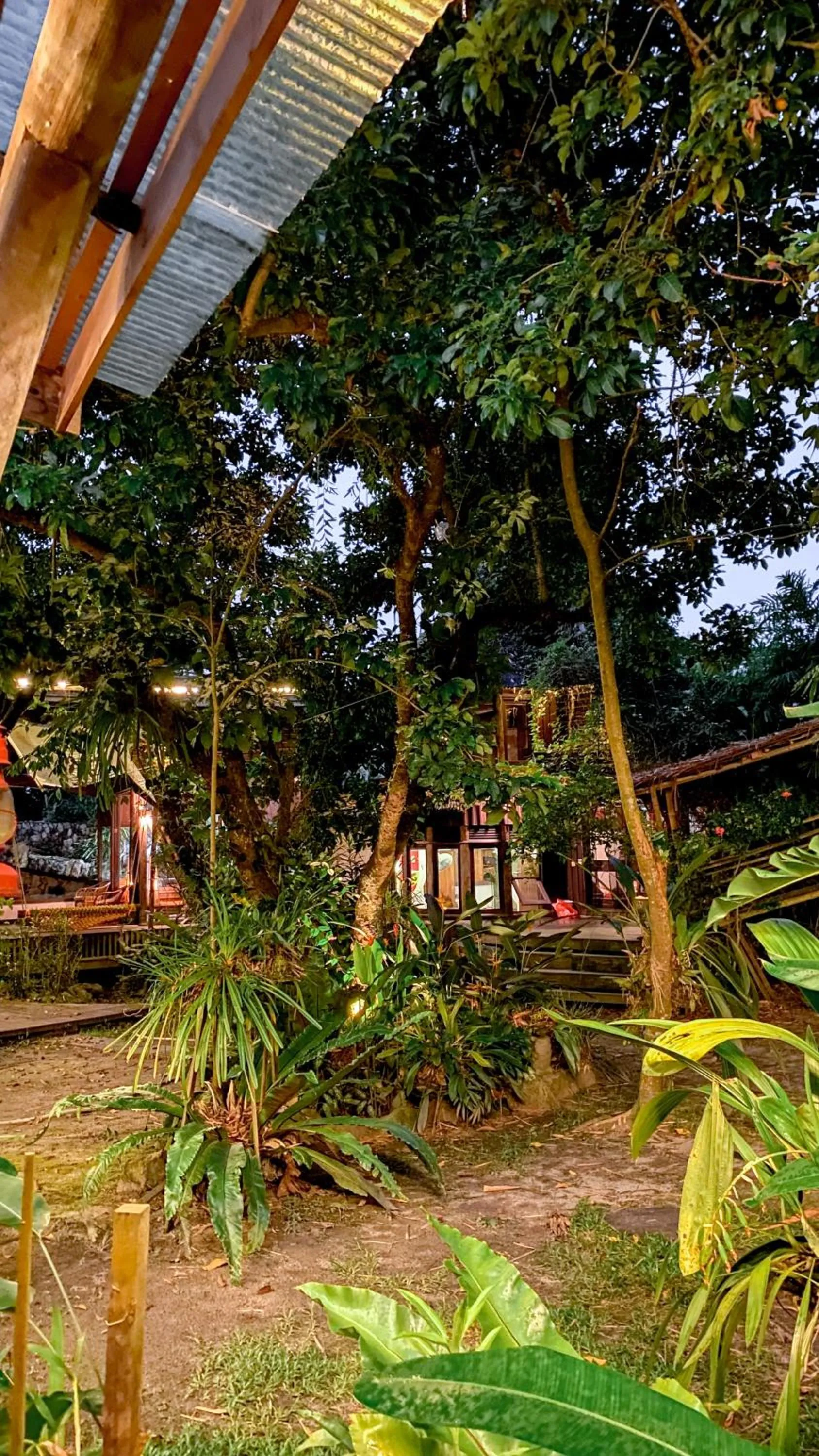 View (from property/room) in Bukit Raya Guesthouse