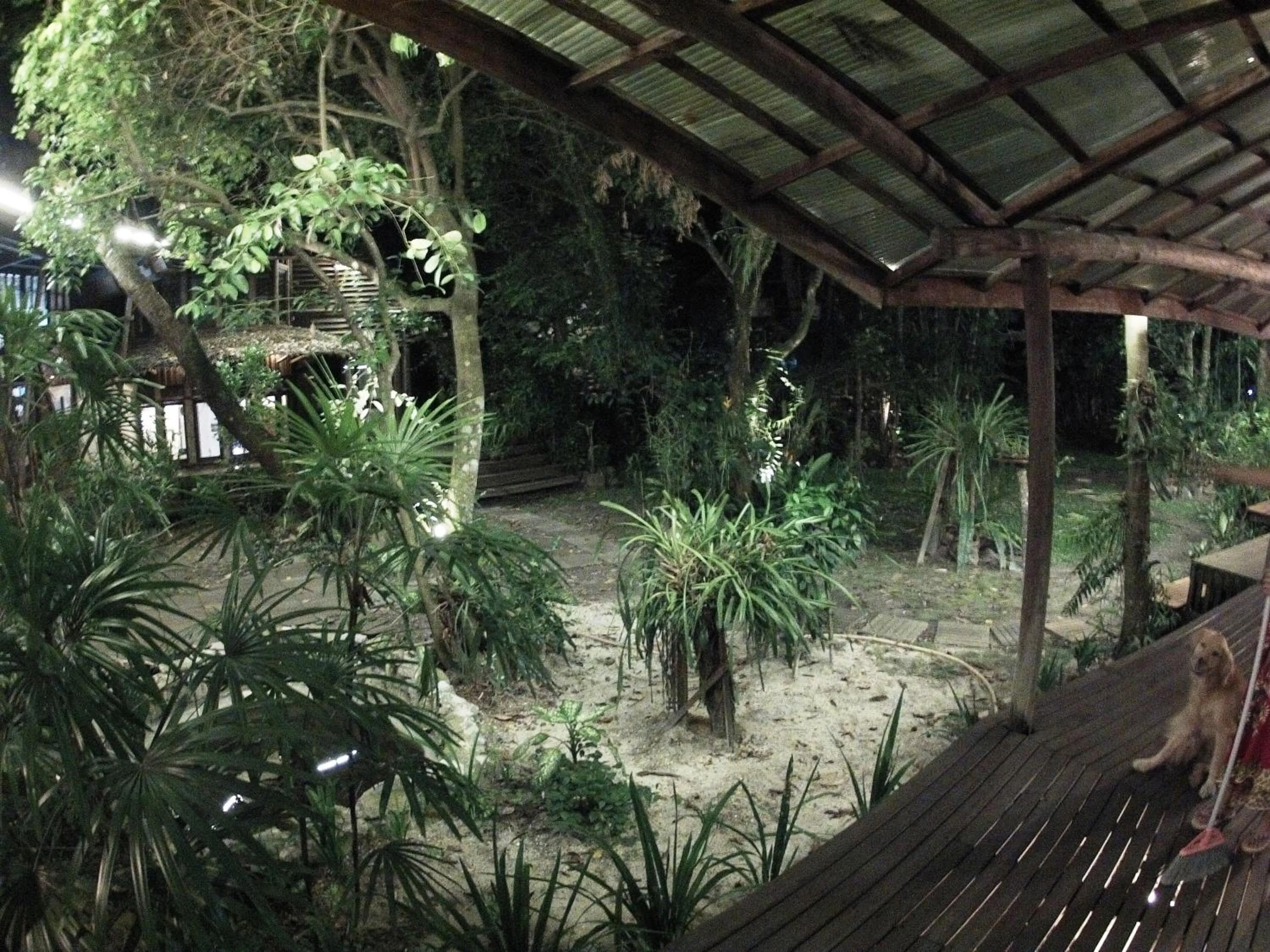 Natural landscape in Bukit Raya Guesthouse