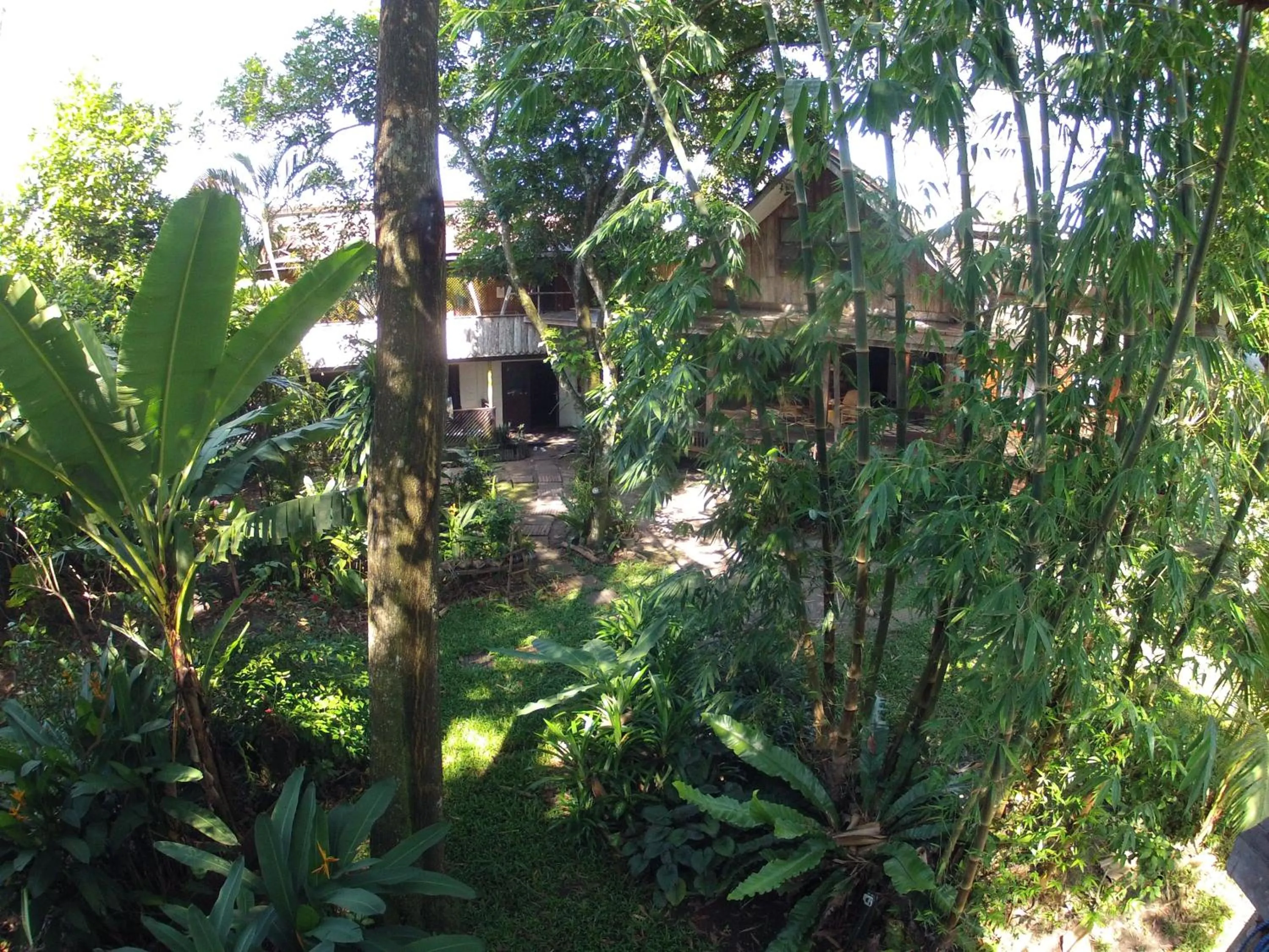 Natural landscape in Bukit Raya Guesthouse