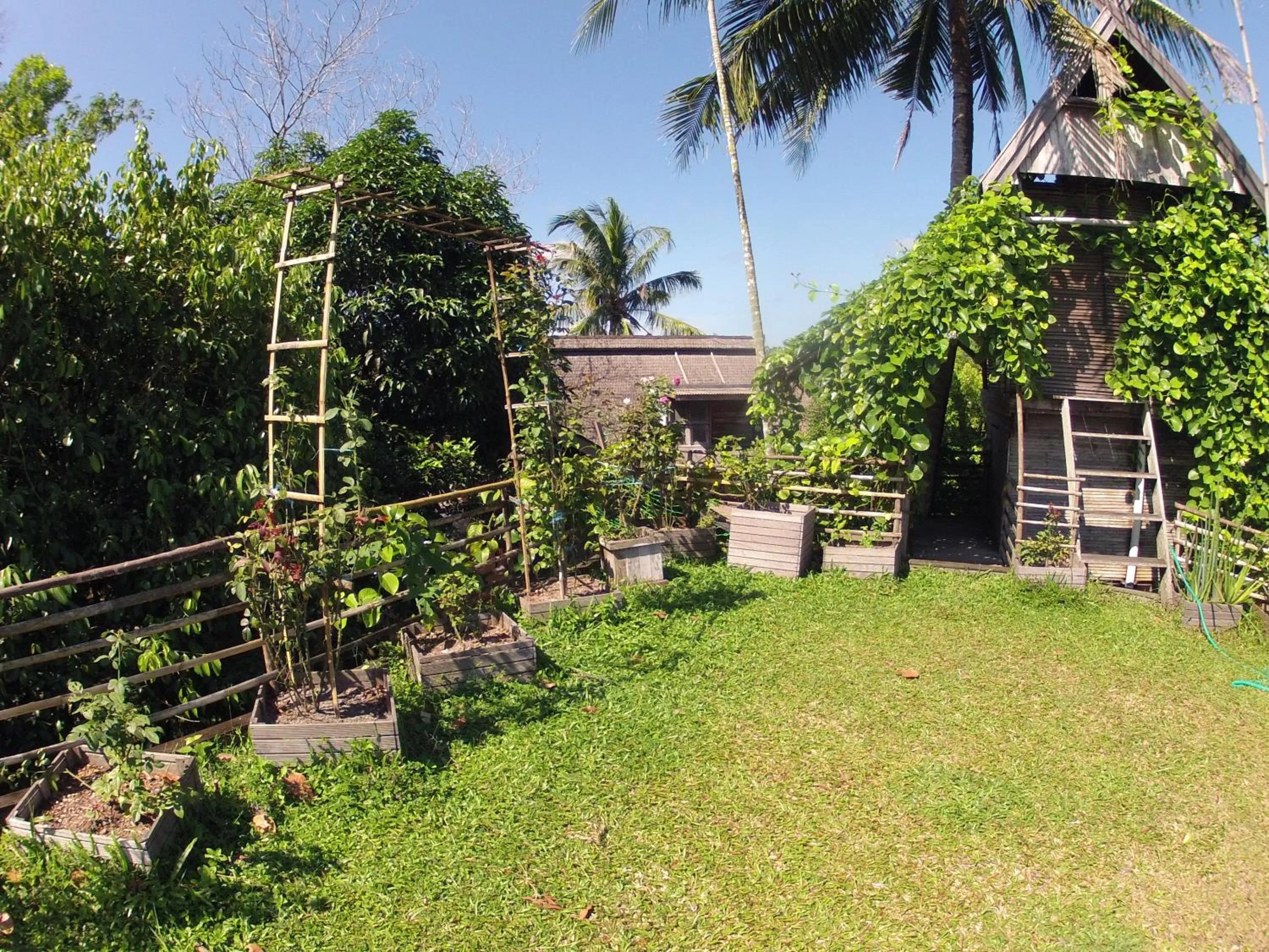 Natural landscape in Bukit Raya Guesthouse
