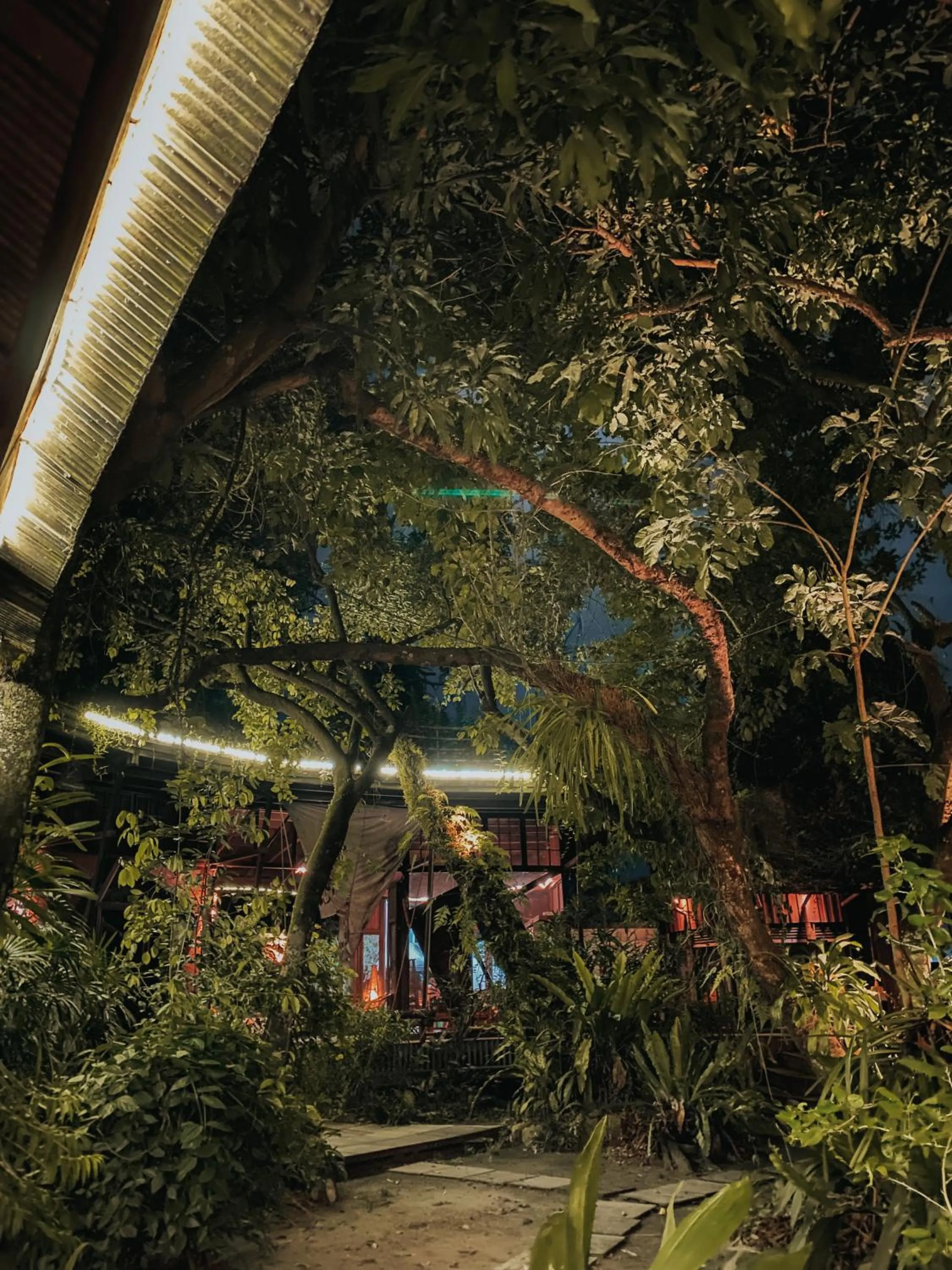 View (from property/room) in Bukit Raya Guesthouse