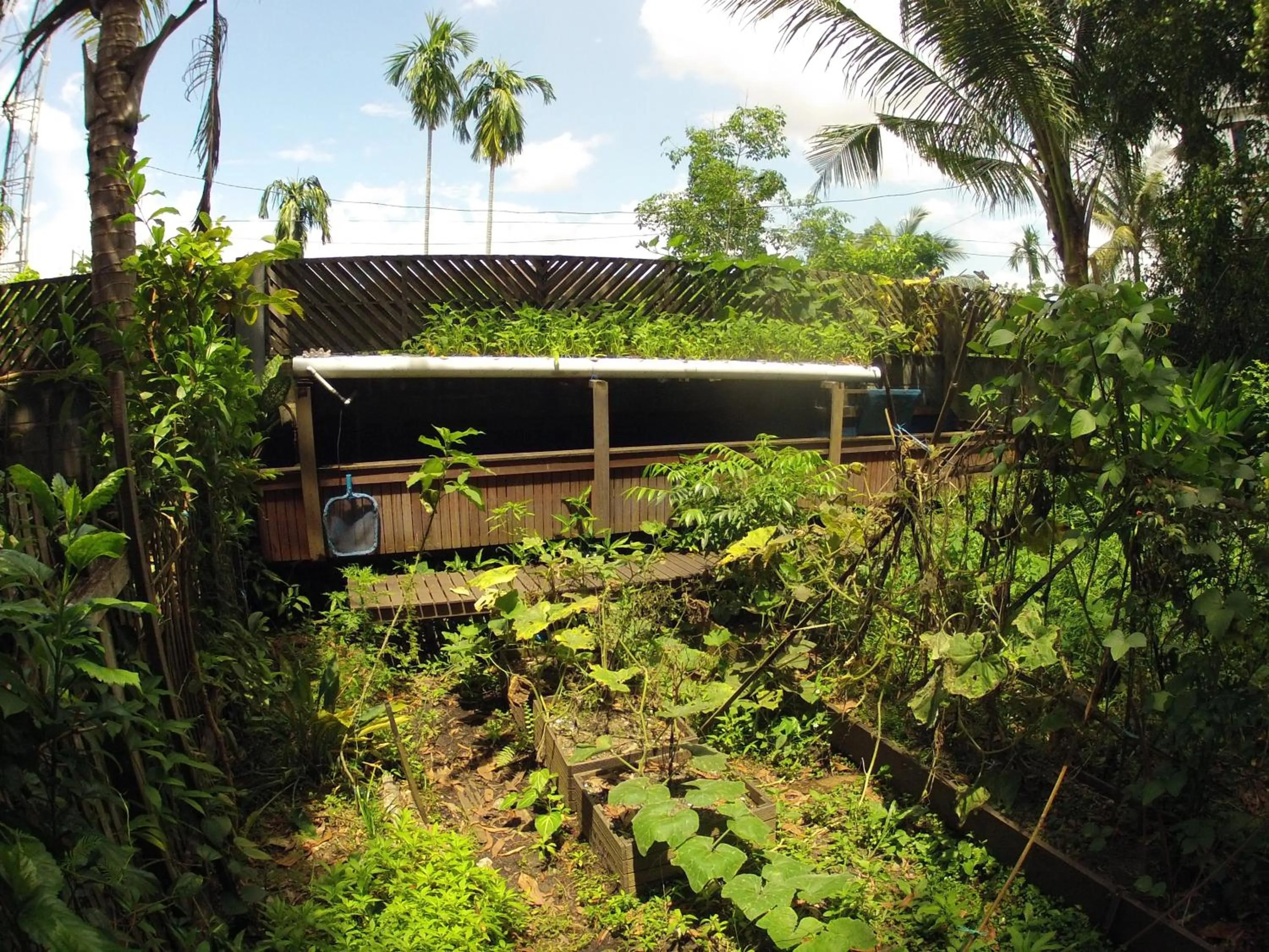 Natural landscape in Bukit Raya Guesthouse