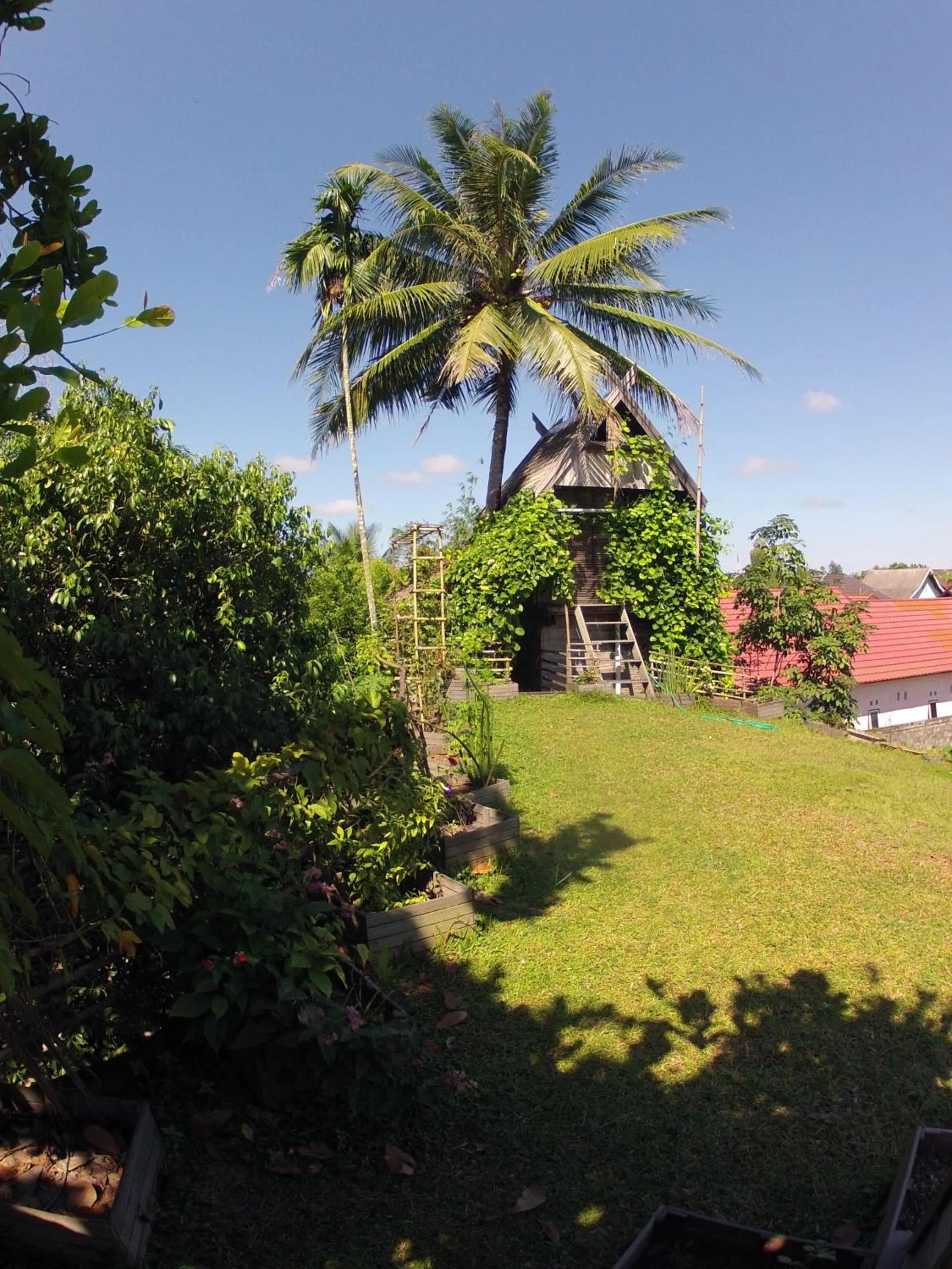 Garden in Bukit Raya Guesthouse