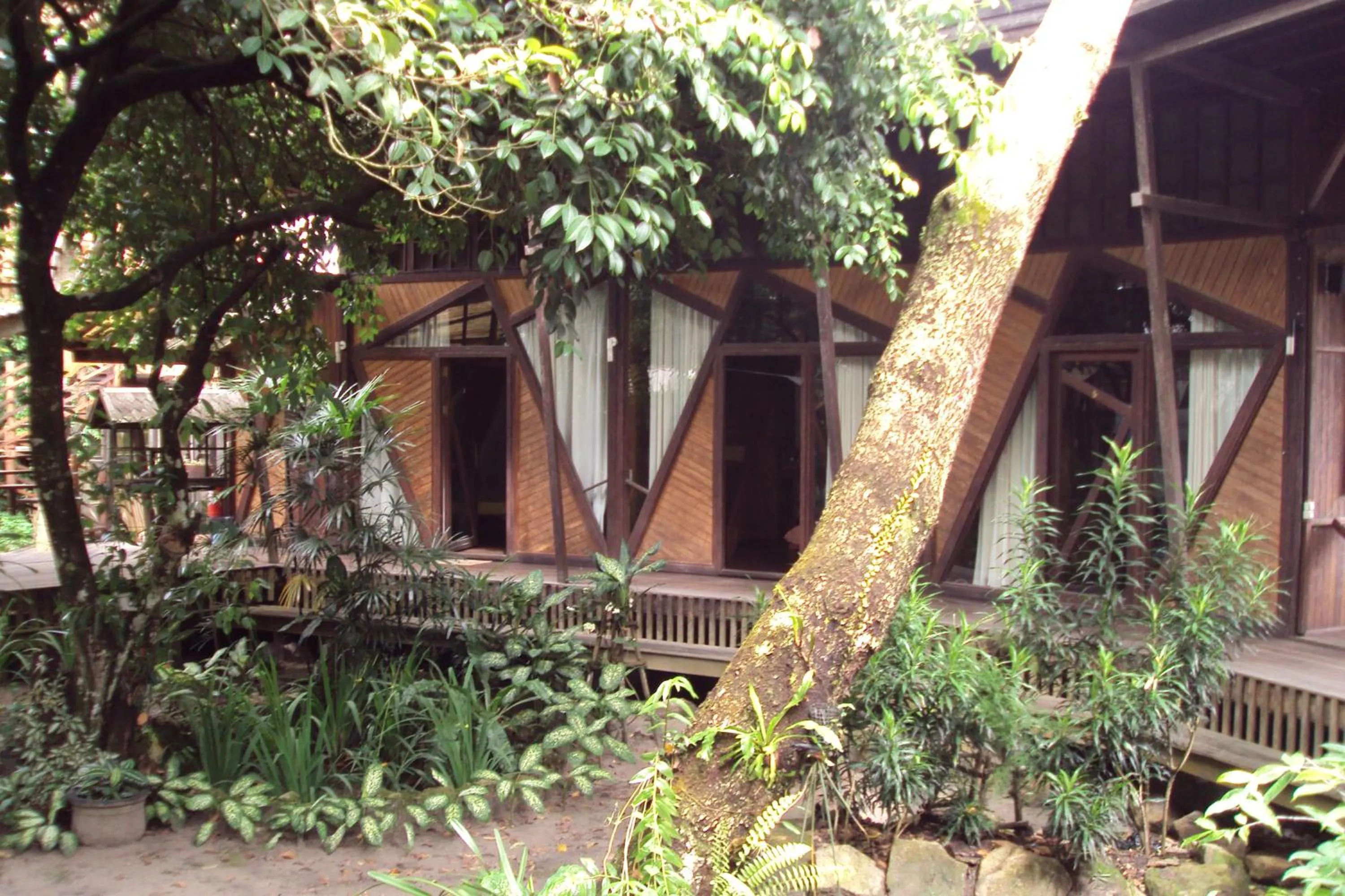Natural landscape in Bukit Raya Guesthouse