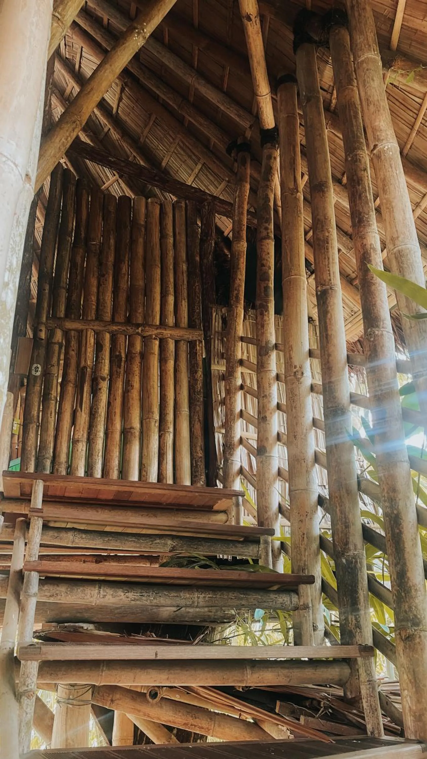 View (from property/room) in Bukit Raya Guesthouse