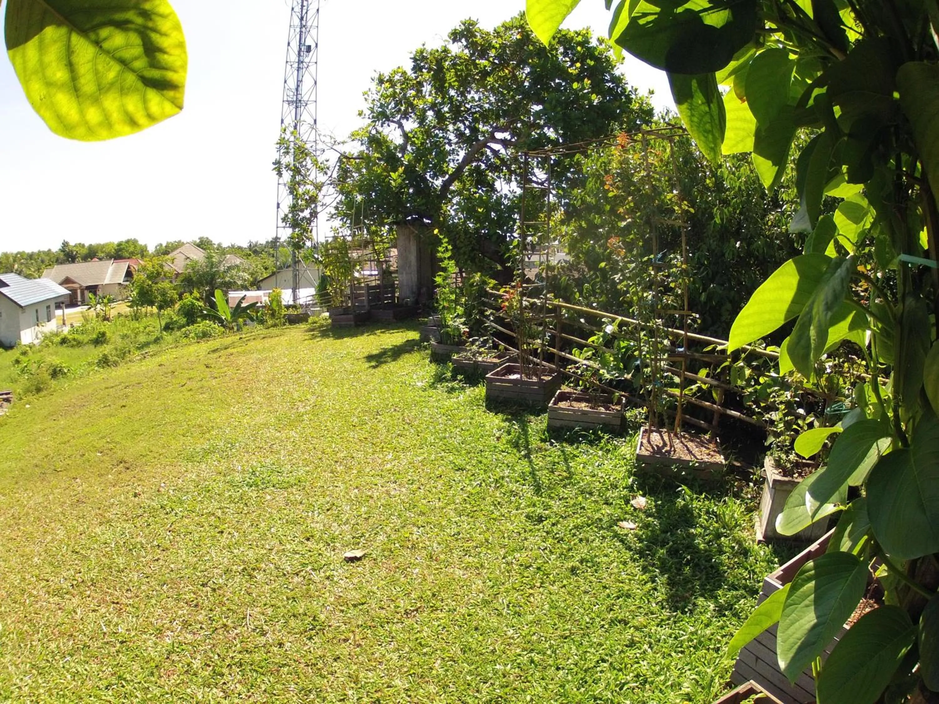Garden in Bukit Raya Guesthouse