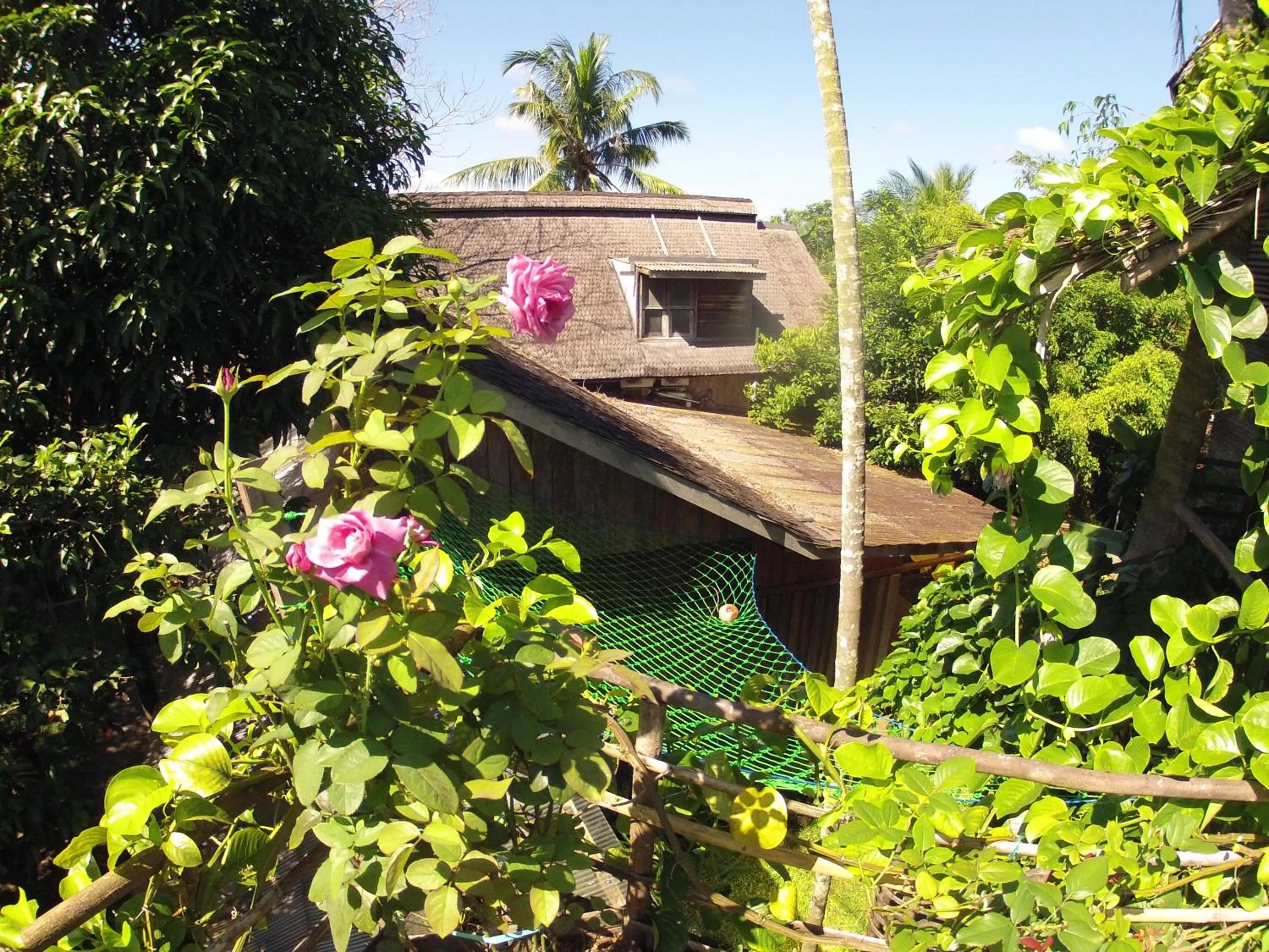 Natural landscape in Bukit Raya Guesthouse