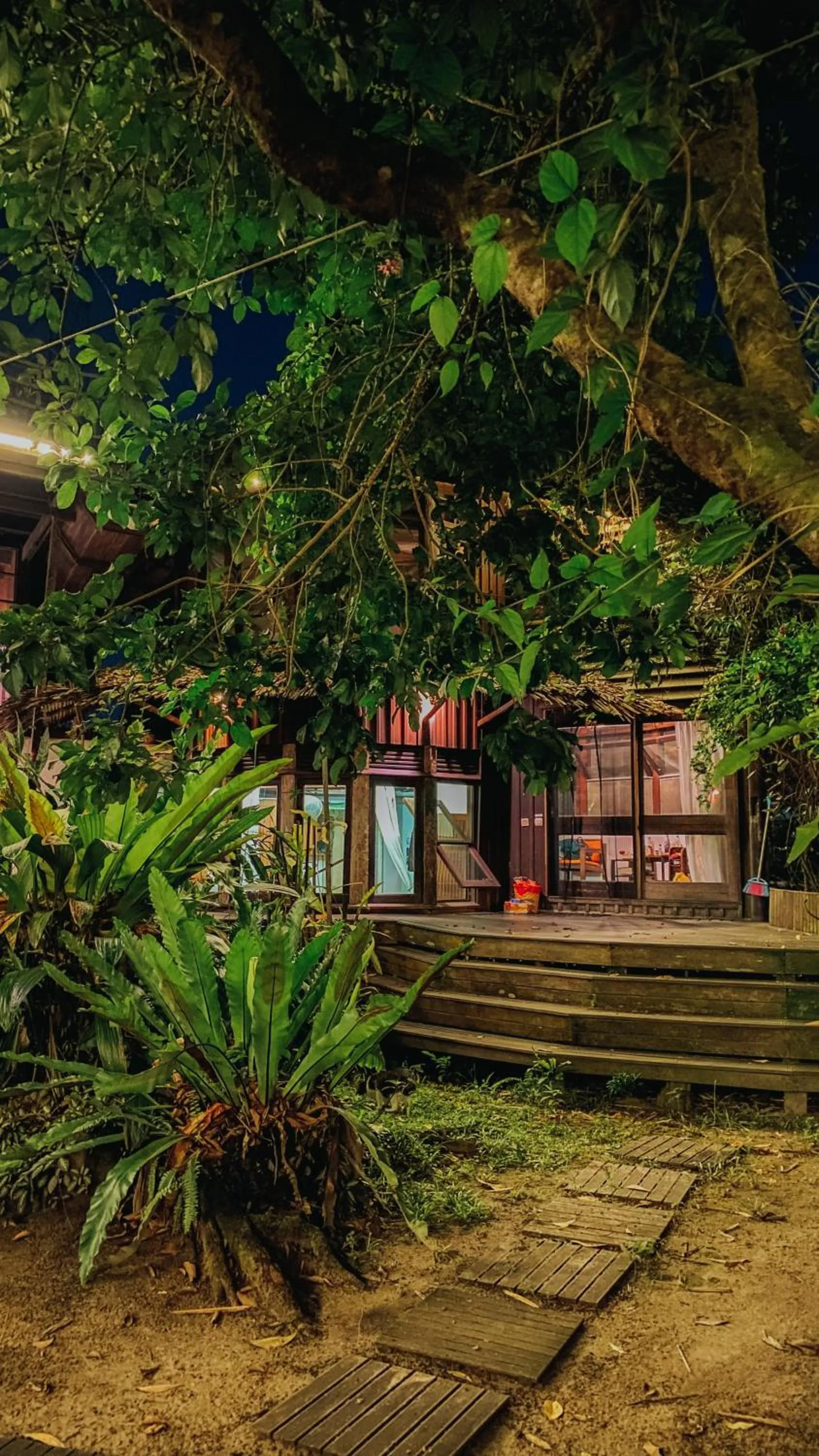 View (from property/room) in Bukit Raya Guesthouse