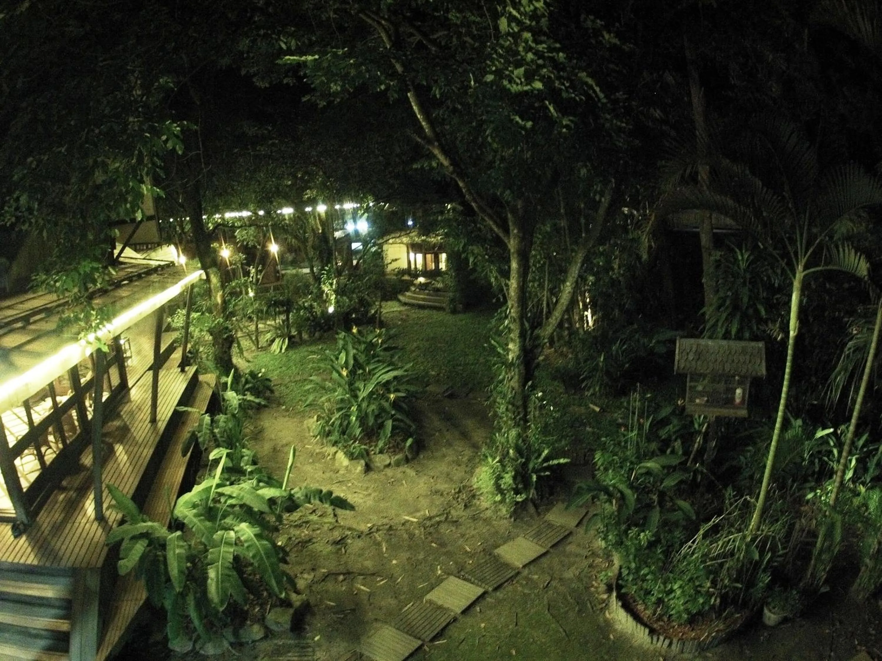 Natural landscape in Bukit Raya Guesthouse