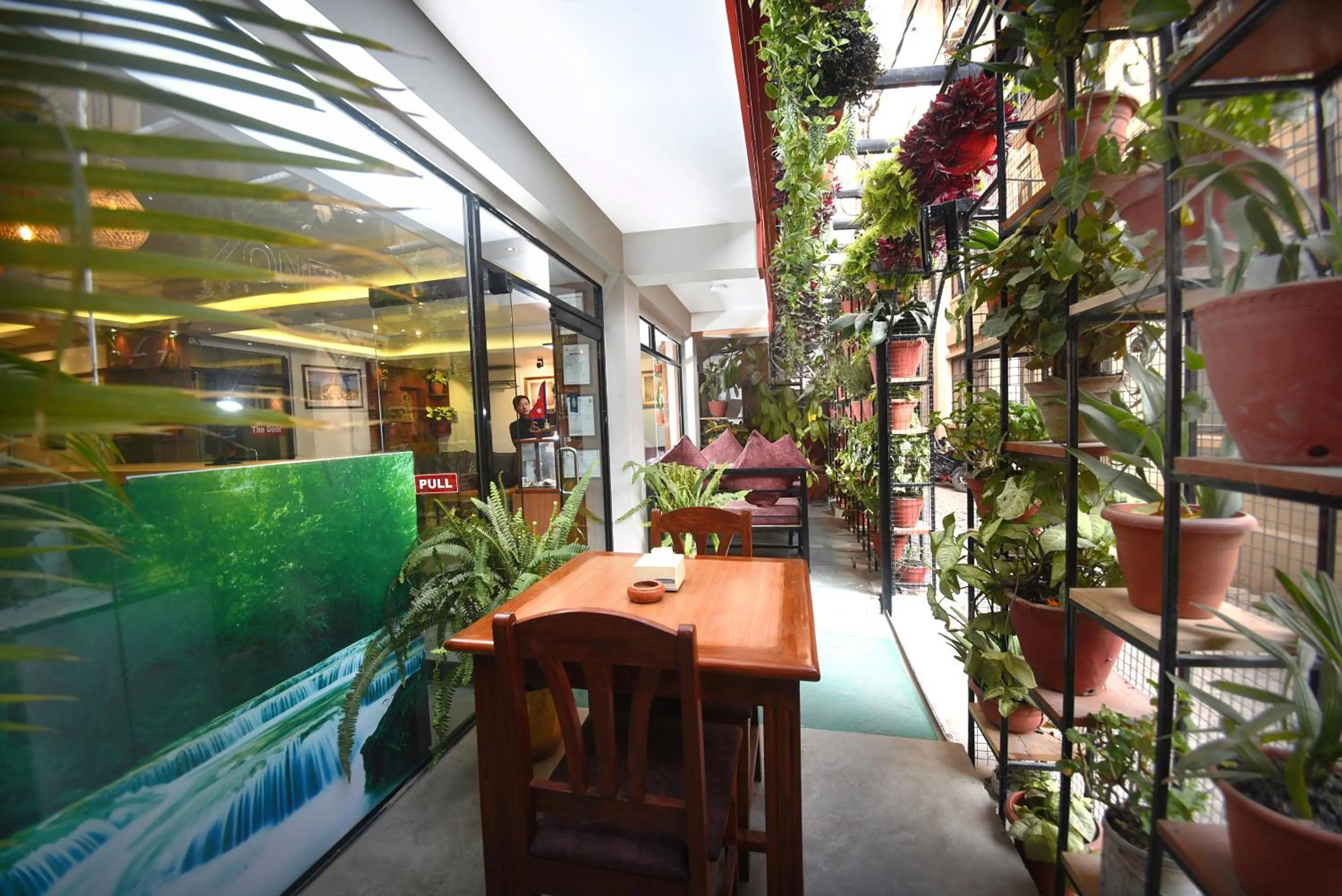 Garden in Hotel Mums Home