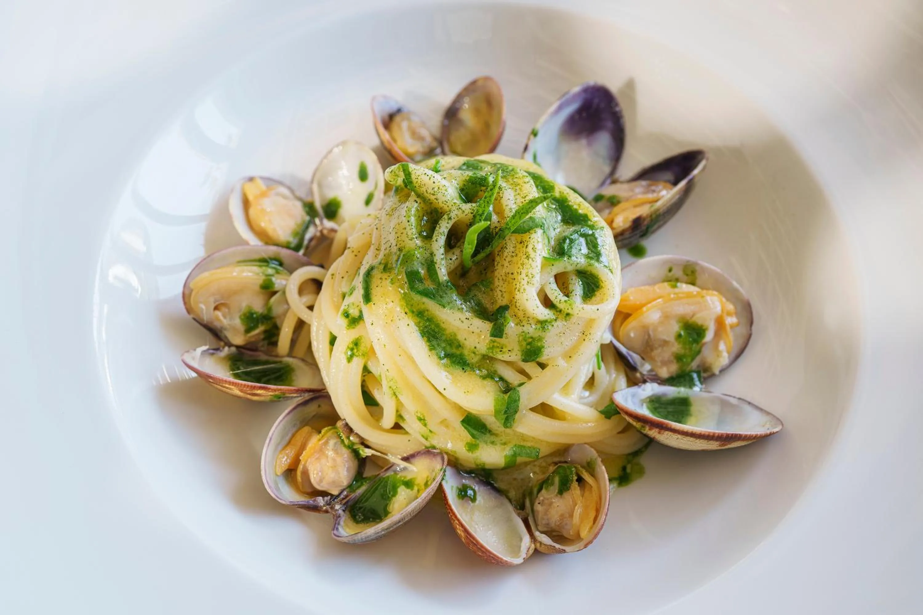 Palazzo Manzi Terme & Spa