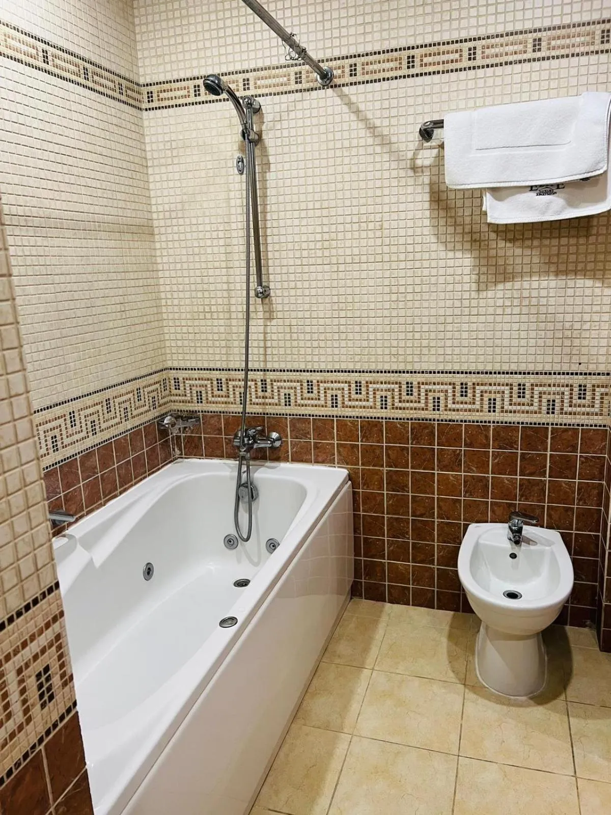 Shower in Elite Tower