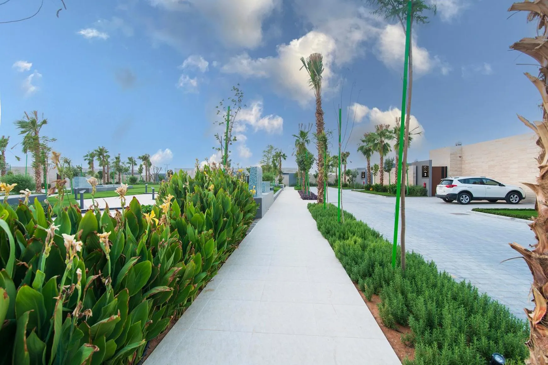 Natural landscape in Q Hotel Resorts -Riyadh