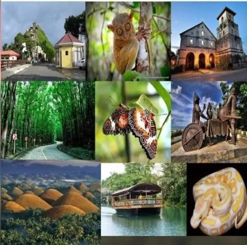 Casas de Ruumar Bed and Breakfast-Bar-Two rooms for family available