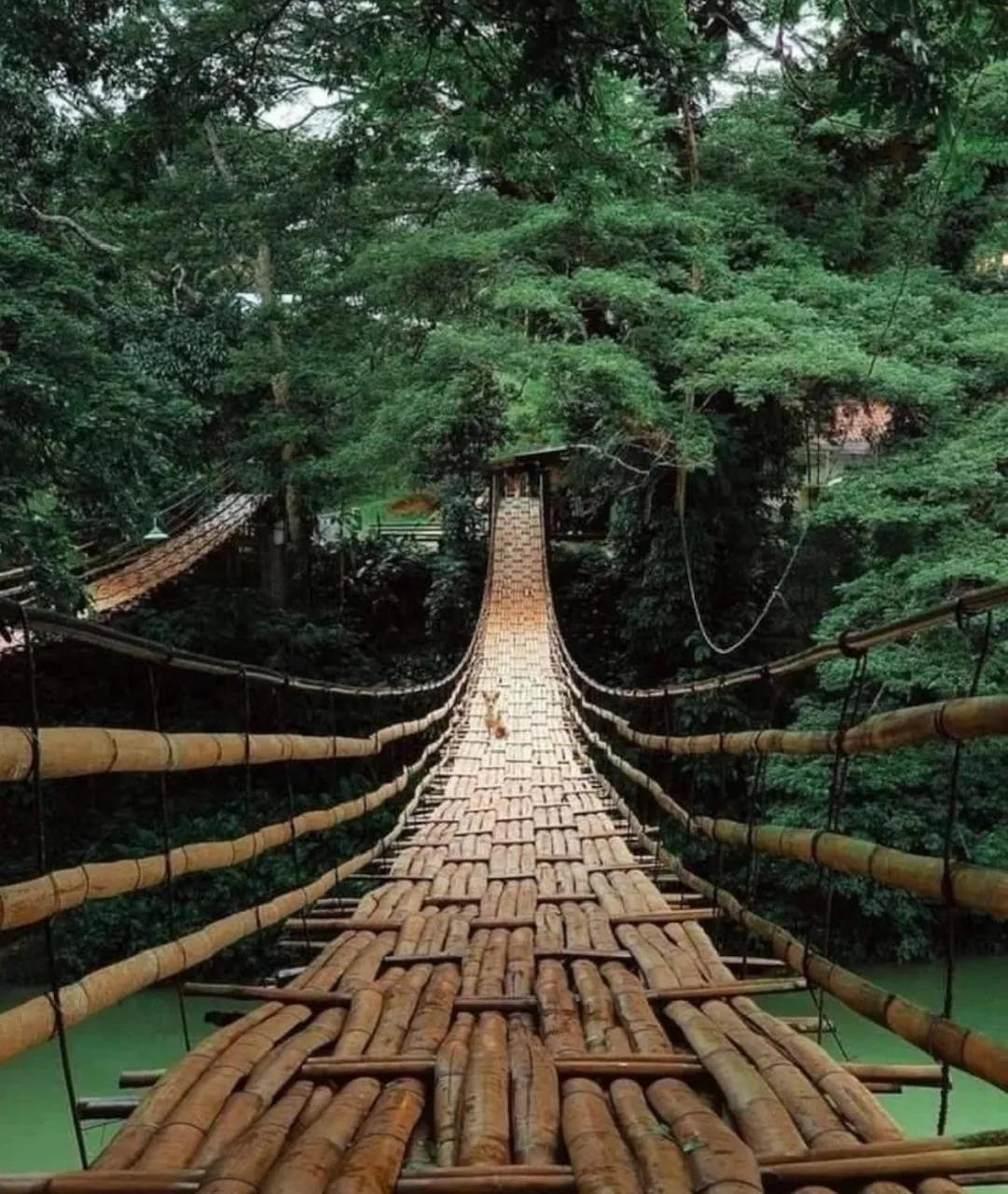 Ruumar B&B-Islandhopping-Starlink available