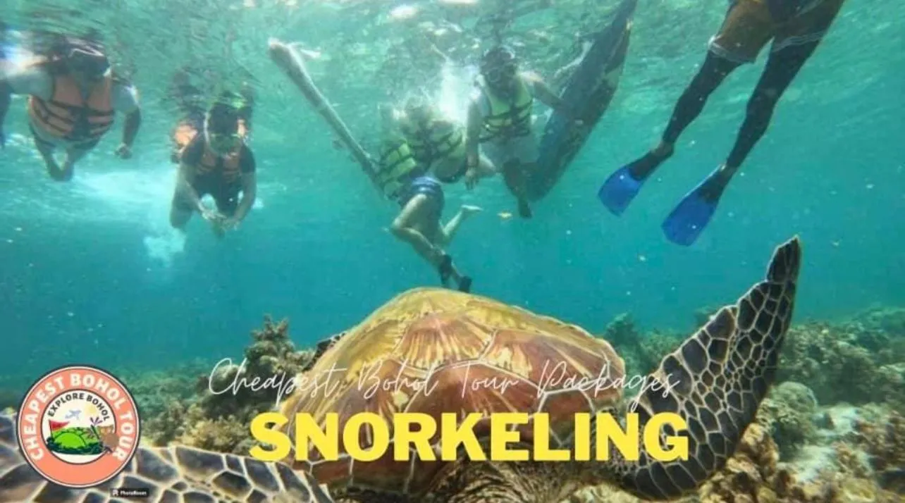 Ruumar B&B-Islandhopping-Starlink available