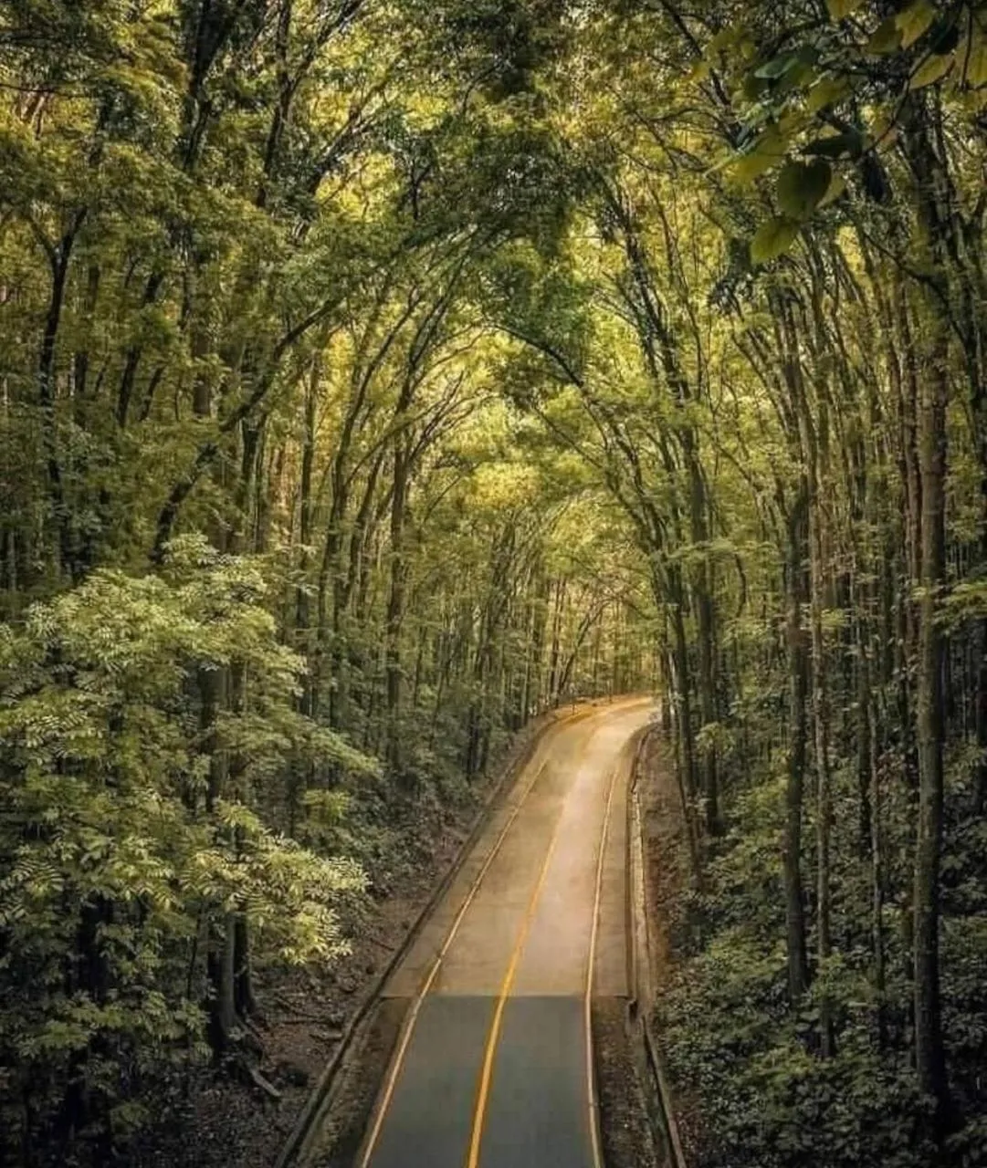 Ruumar B&B-Islandhopping-Starlink available