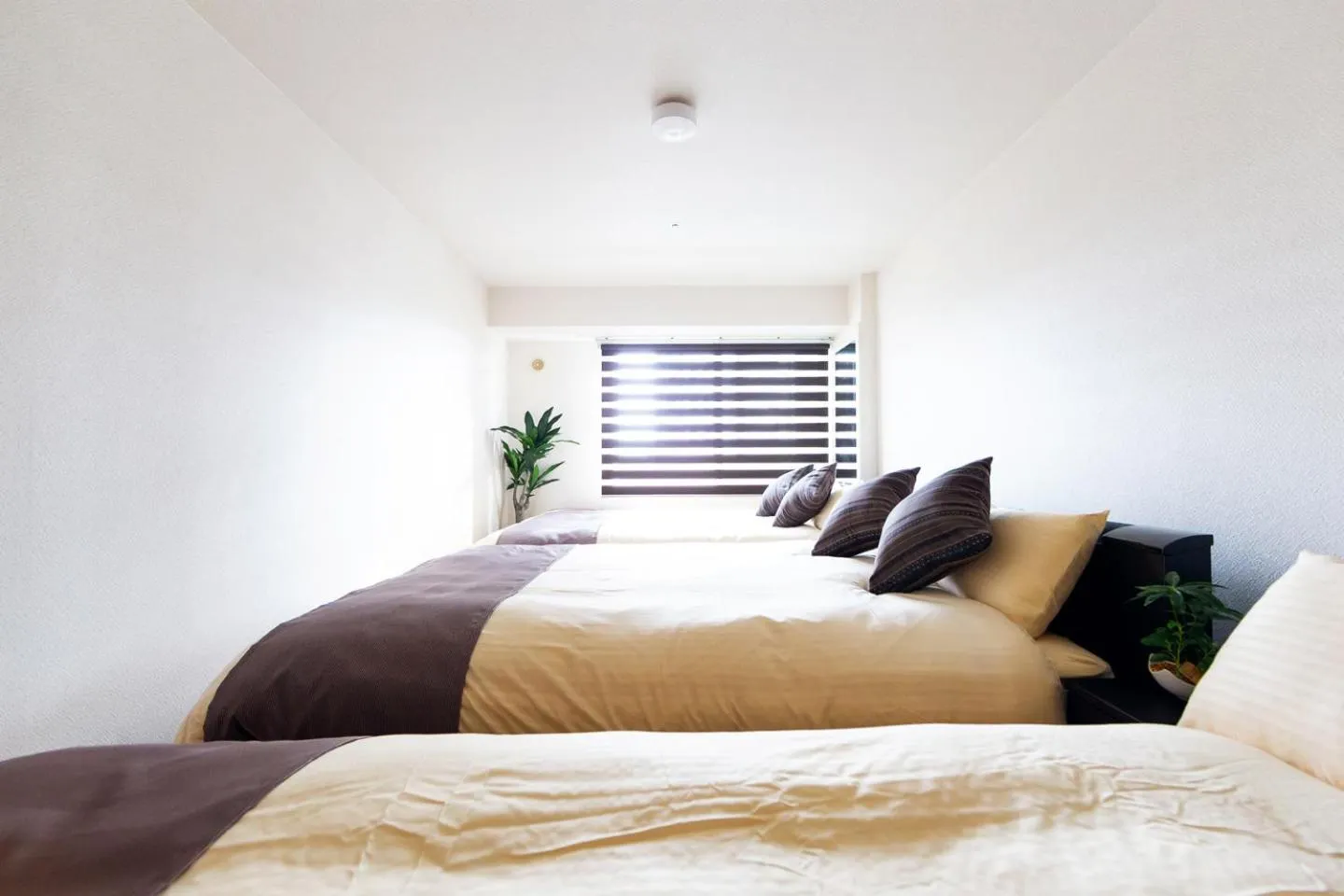 Bedroom, Bed in PRIME