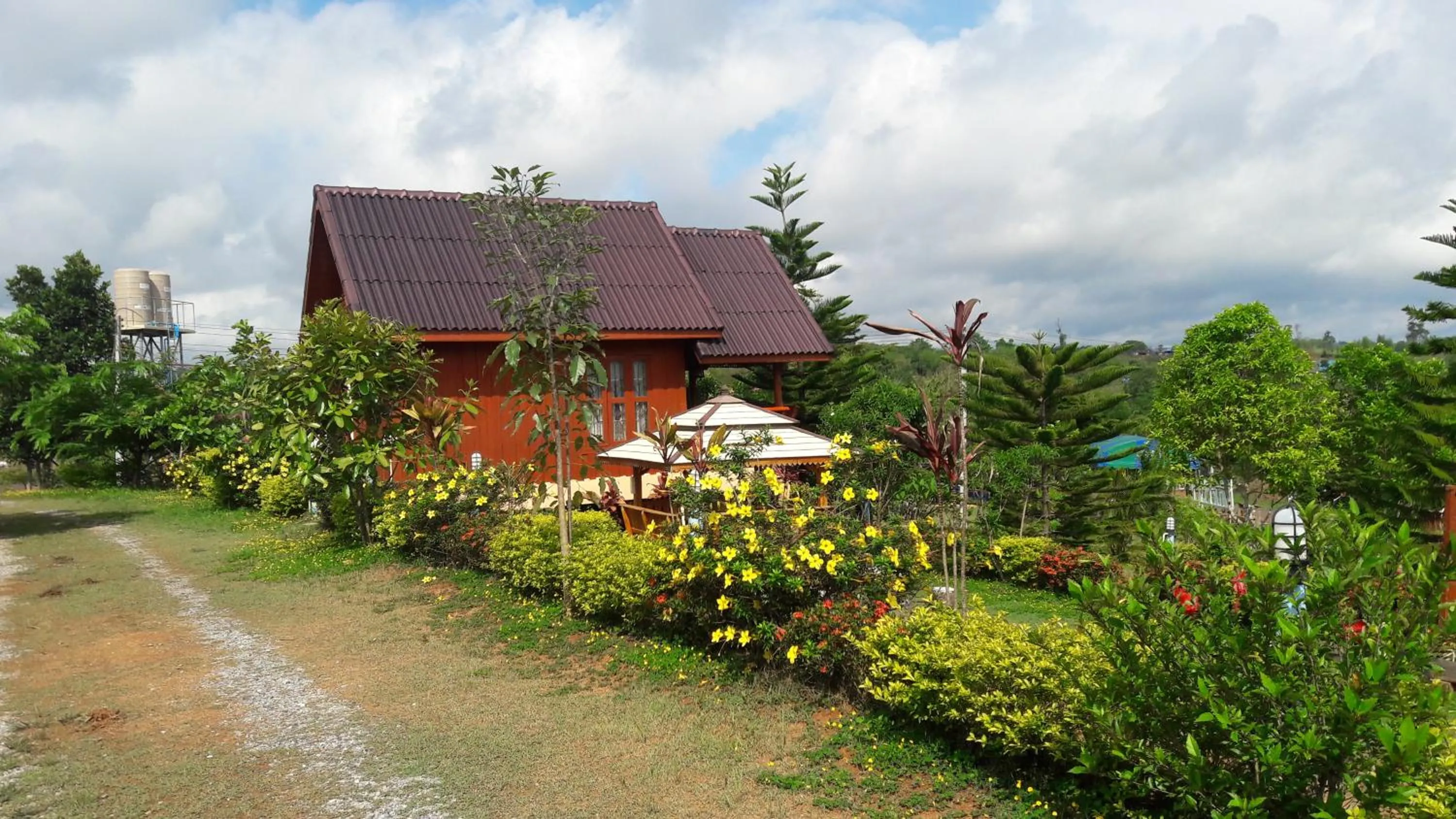 Khao Kho Flora