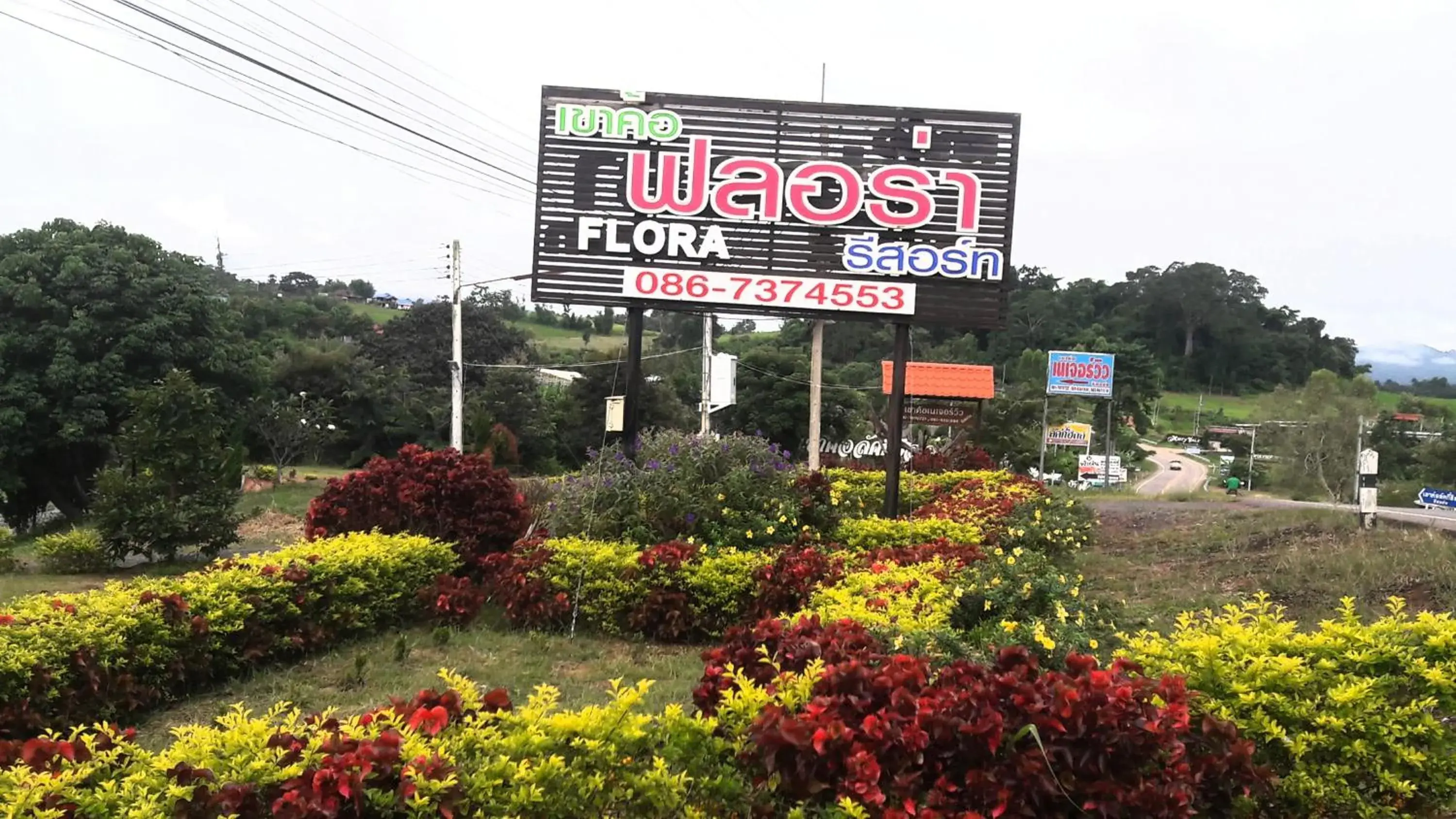 Khao Kho Flora Khao Kho Flora